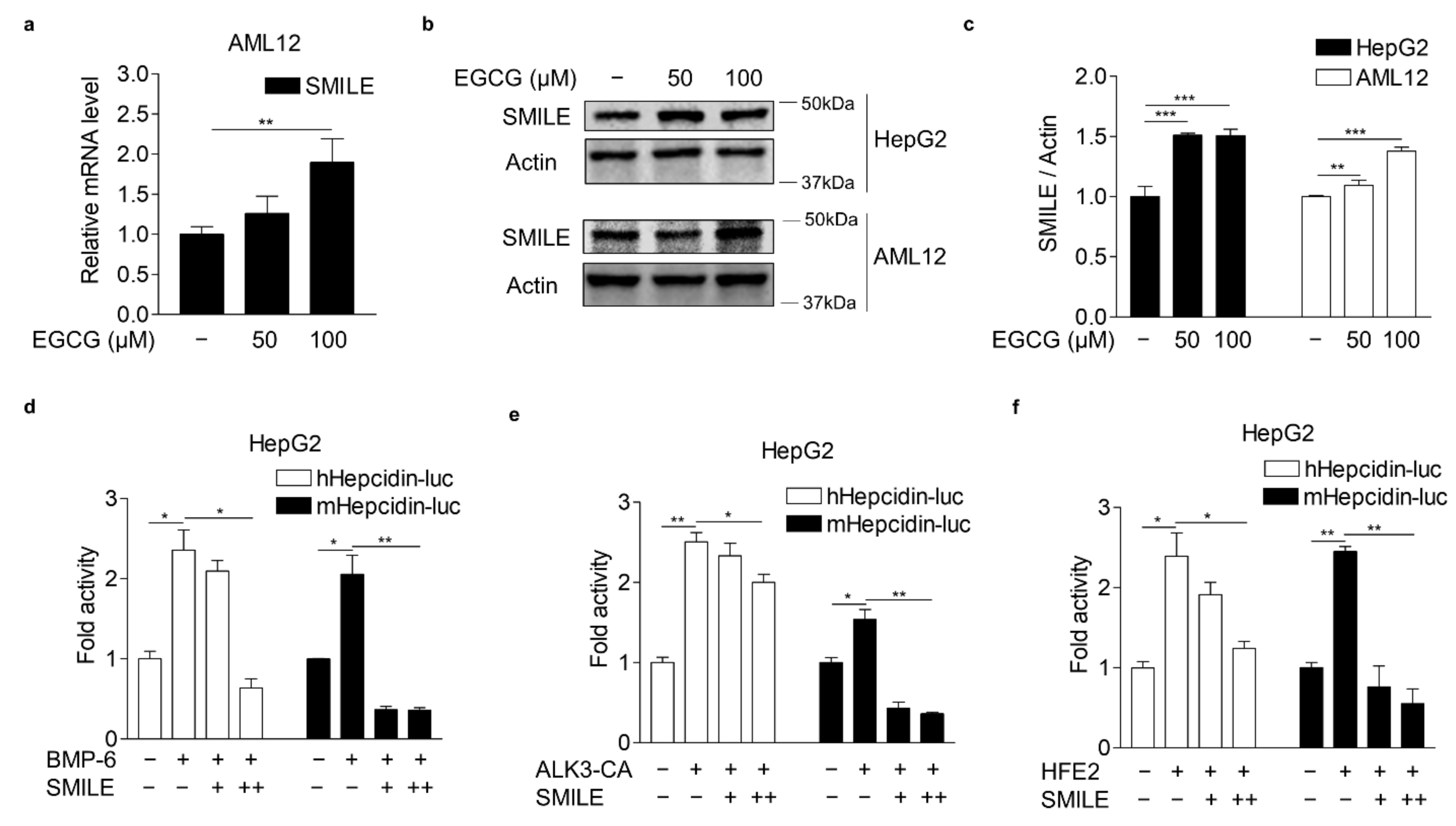 Antioxidants 10 01590 g002