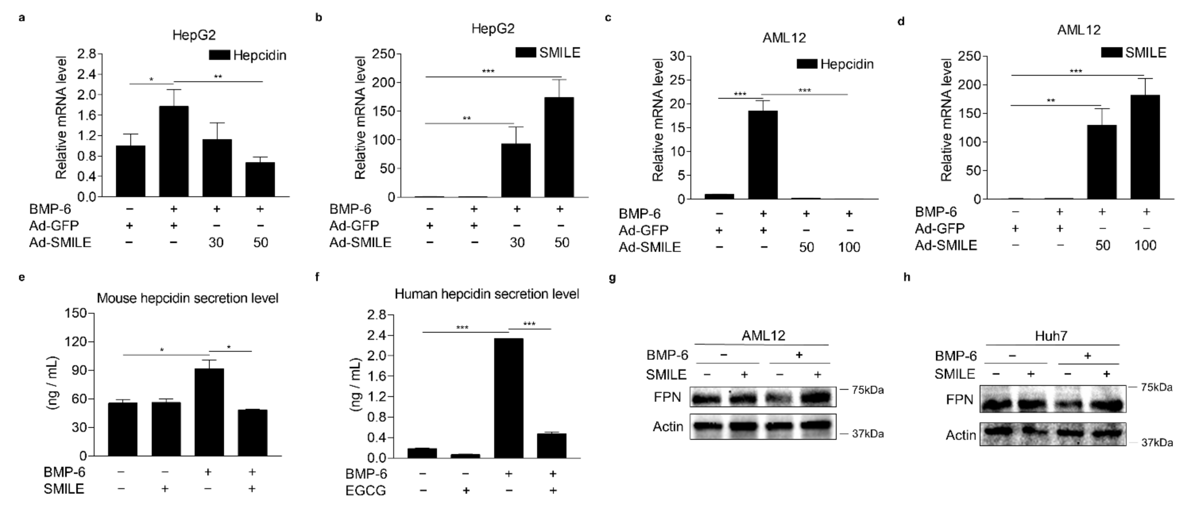 Antioxidants 10 01590 g003