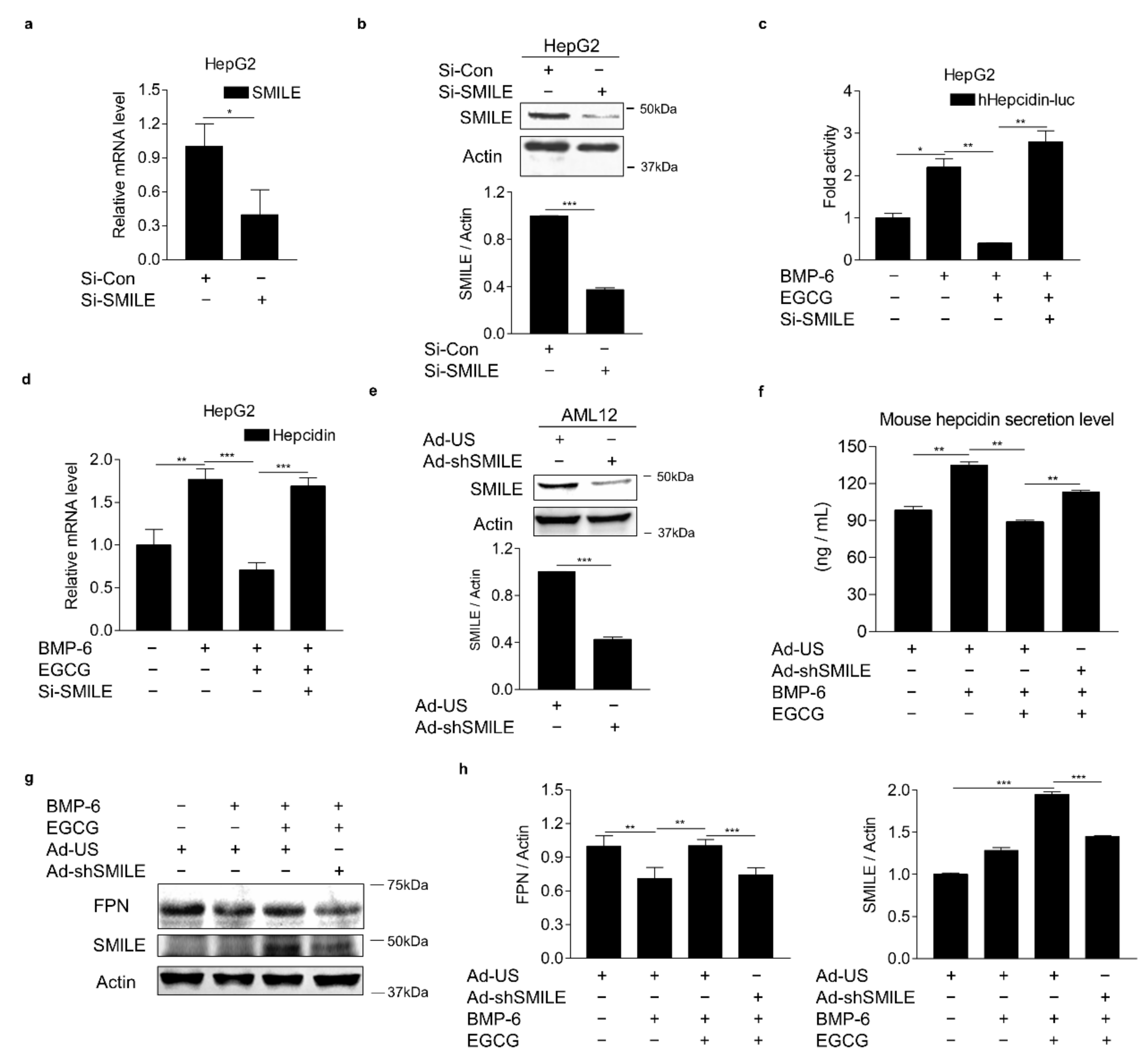 Antioxidants 10 01590 g004