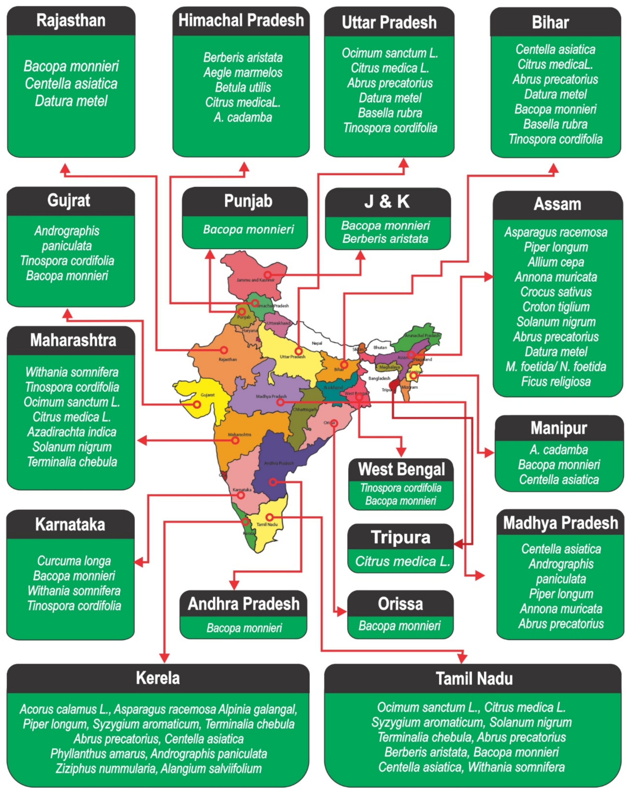 Antioxidants Free Full Text Phytochemicals from Indian