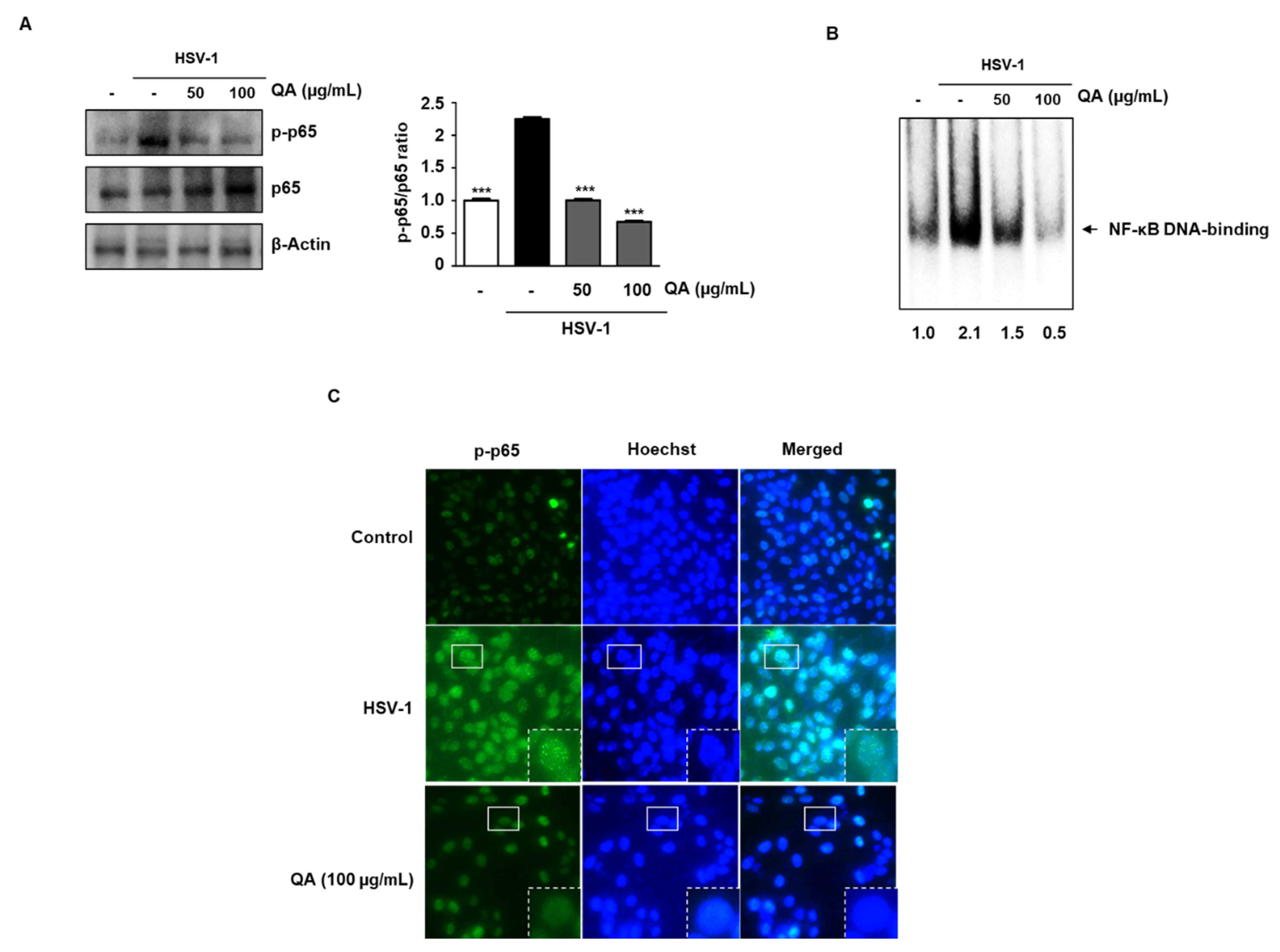Antioxidants 10 01638 g005