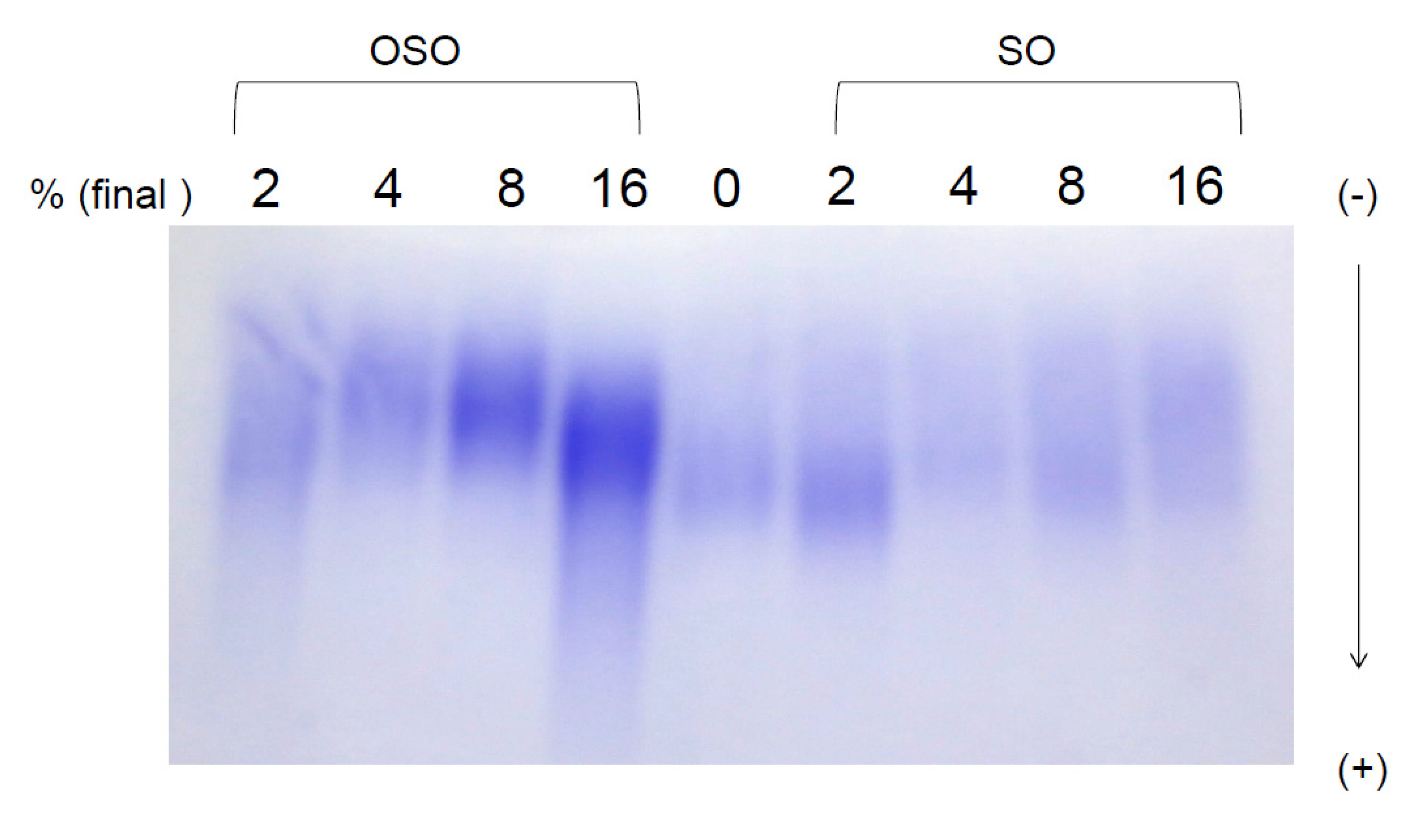 Antioxidants 10 01651 g003