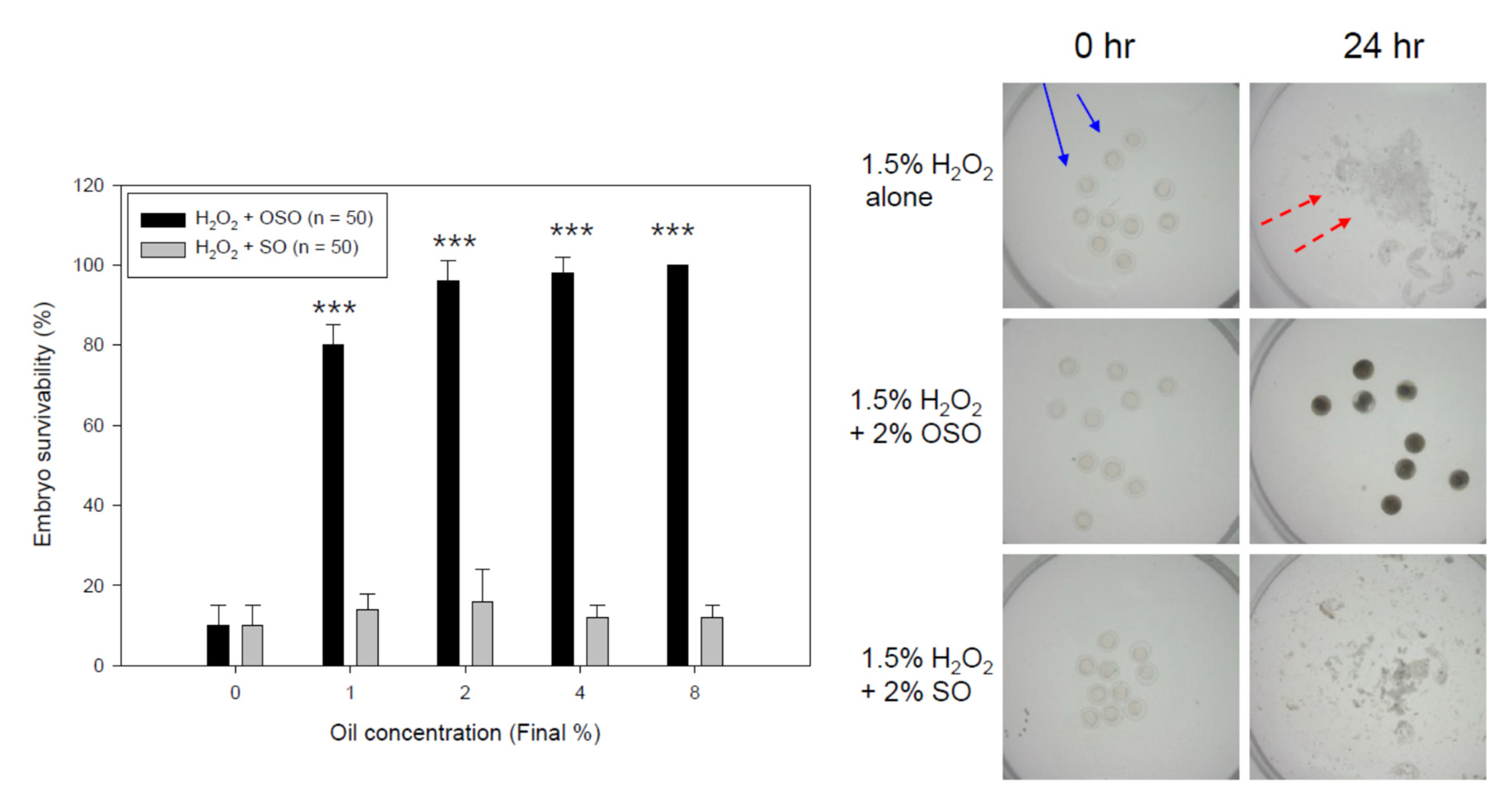 Antioxidants 10 01651 g008
