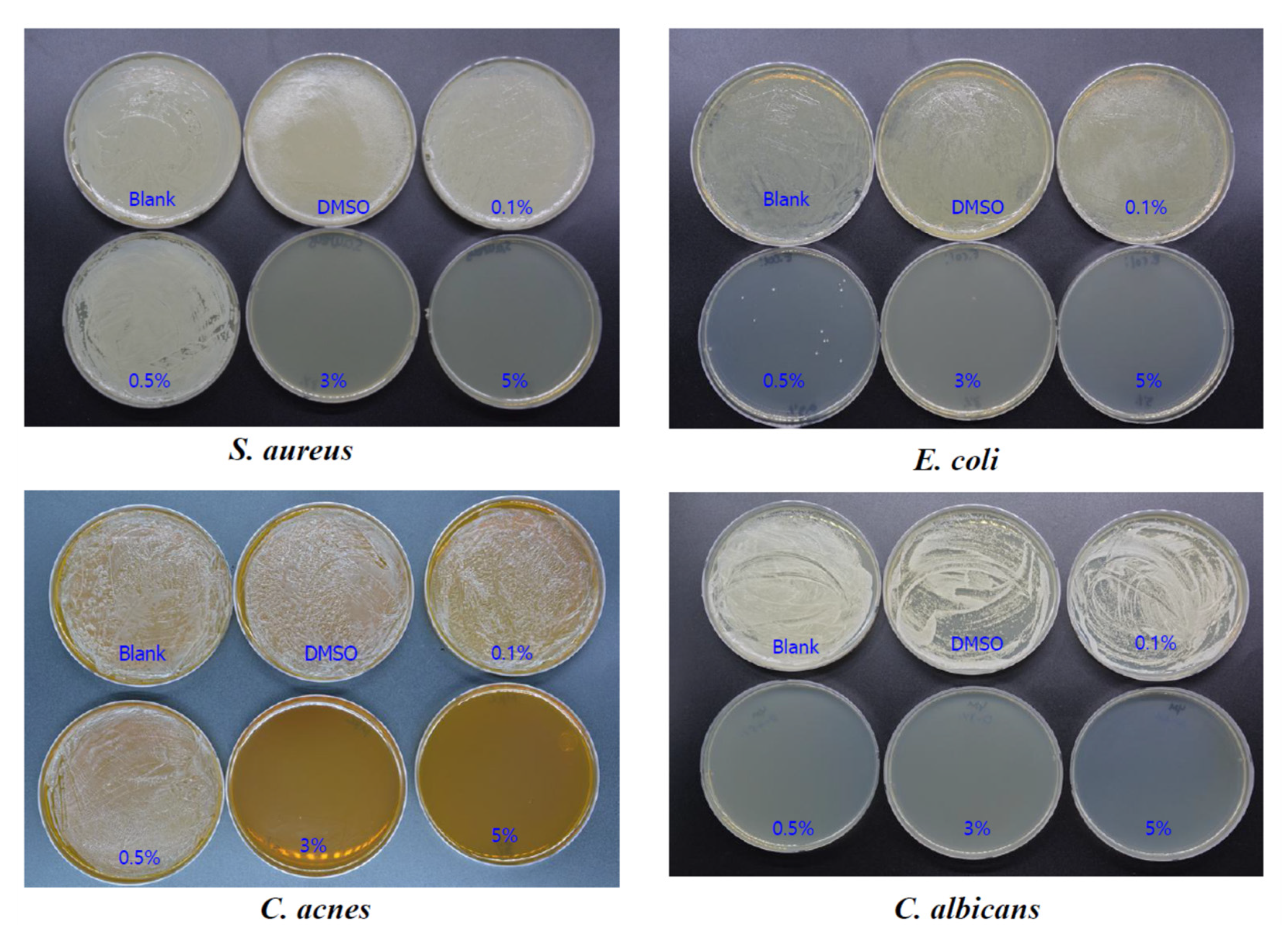 Antioxidants 10 01651 g012