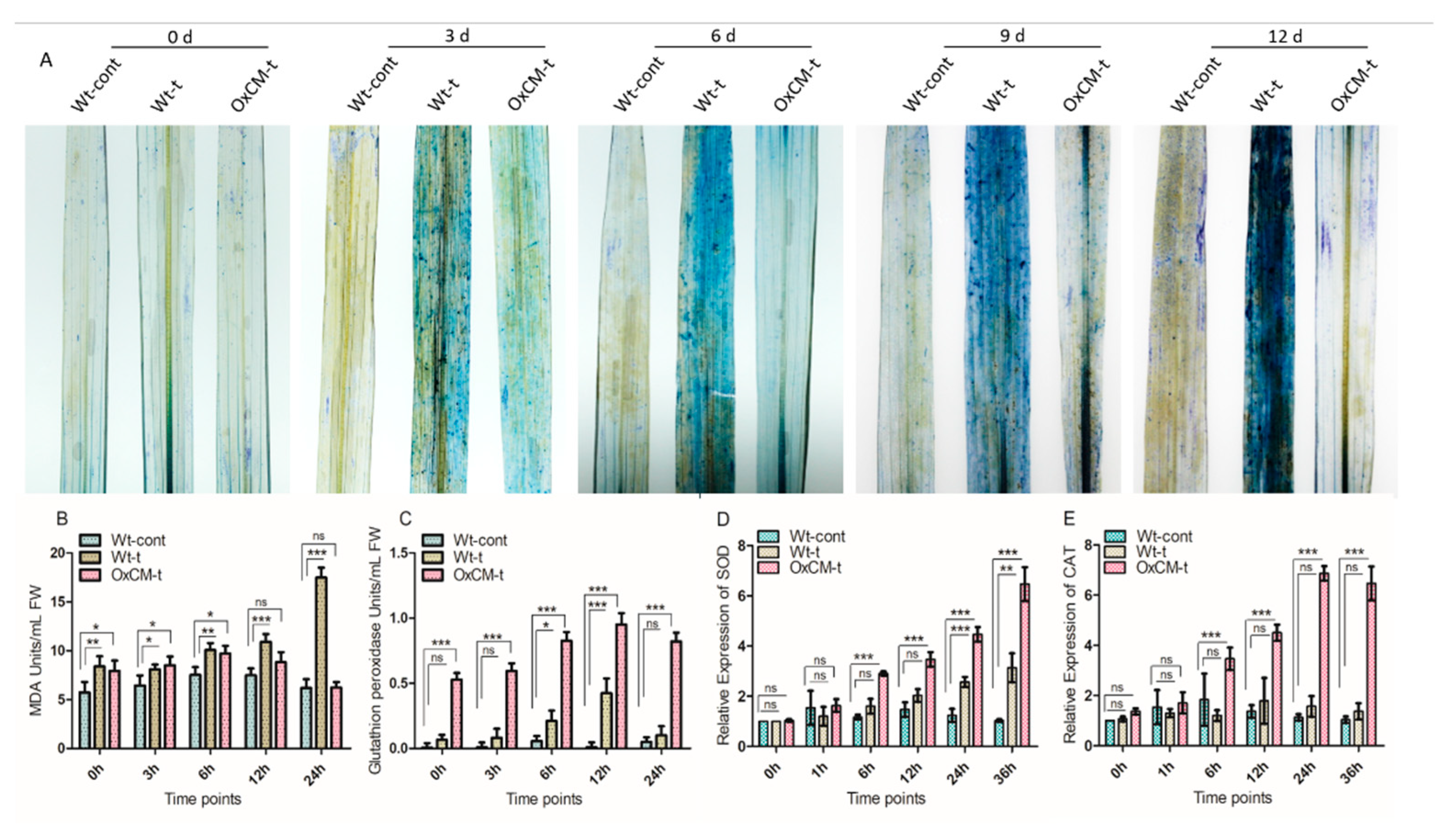 Antioxidants 10 01680 g005