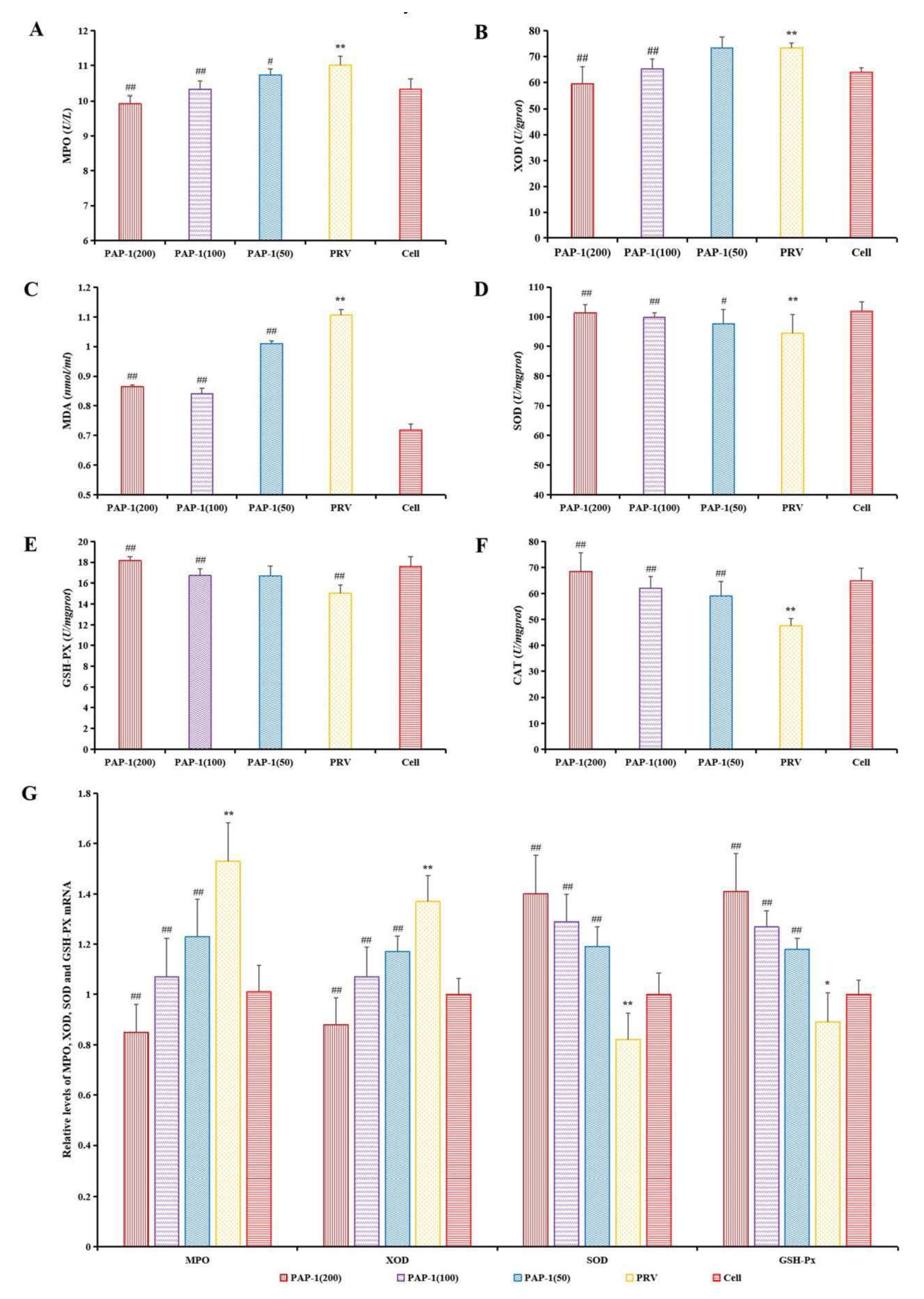 Antioxidants 10 01689 g007 Antioxidants 10 01689 g007