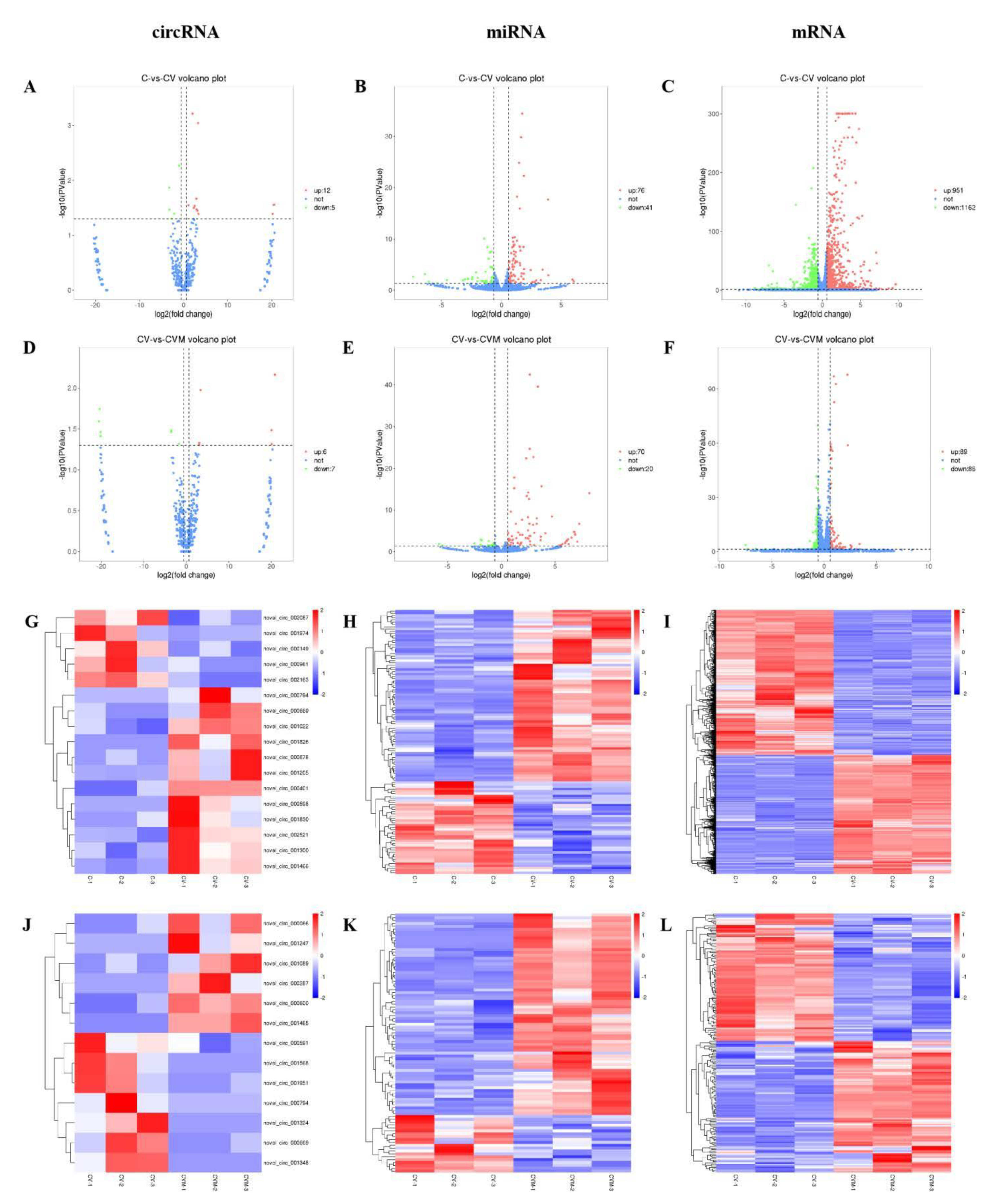 Antioxidants 10 01689 g008 Antioxidants 10 01689 g008