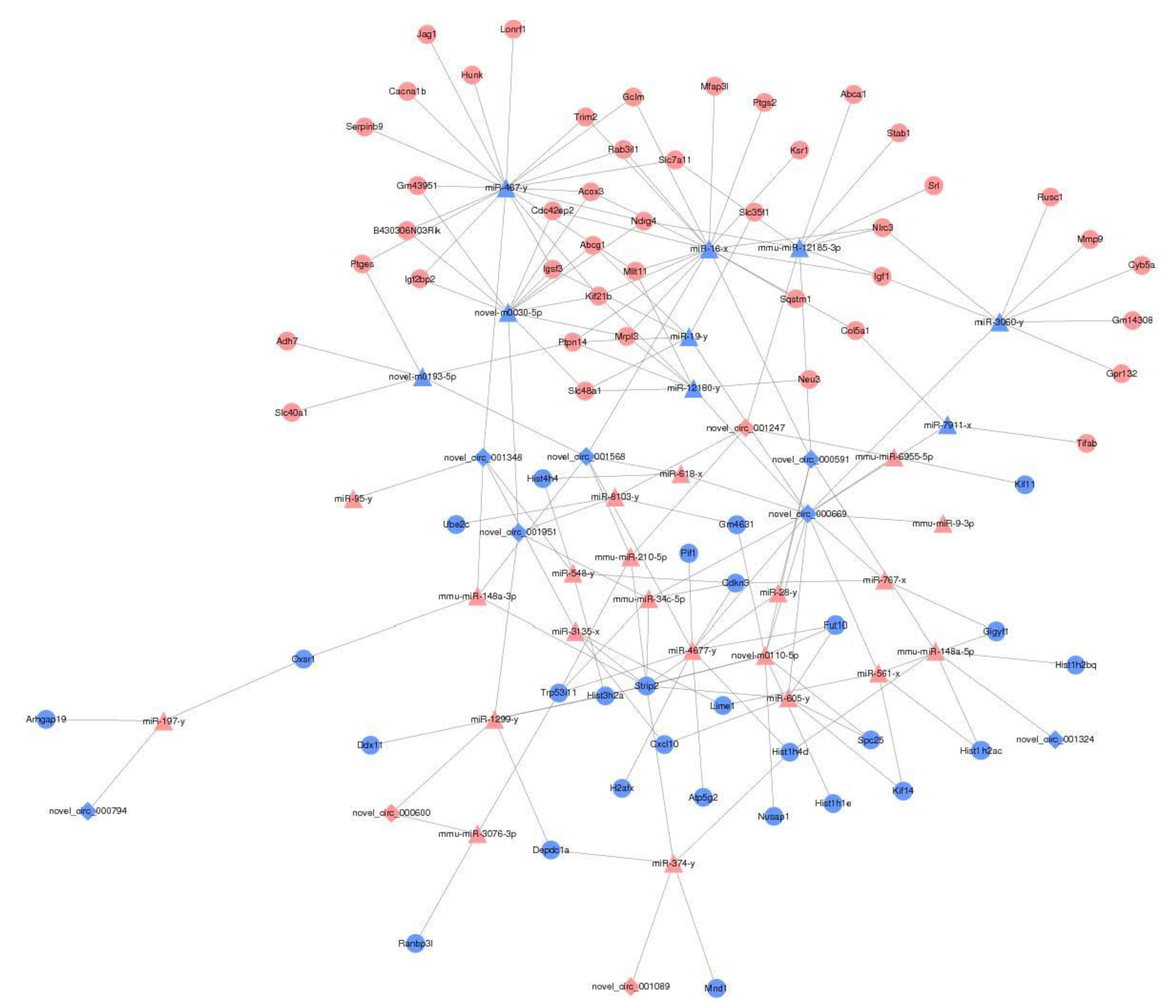 Antioxidants 10 01689 g009 Antioxidants 10 01689 g009