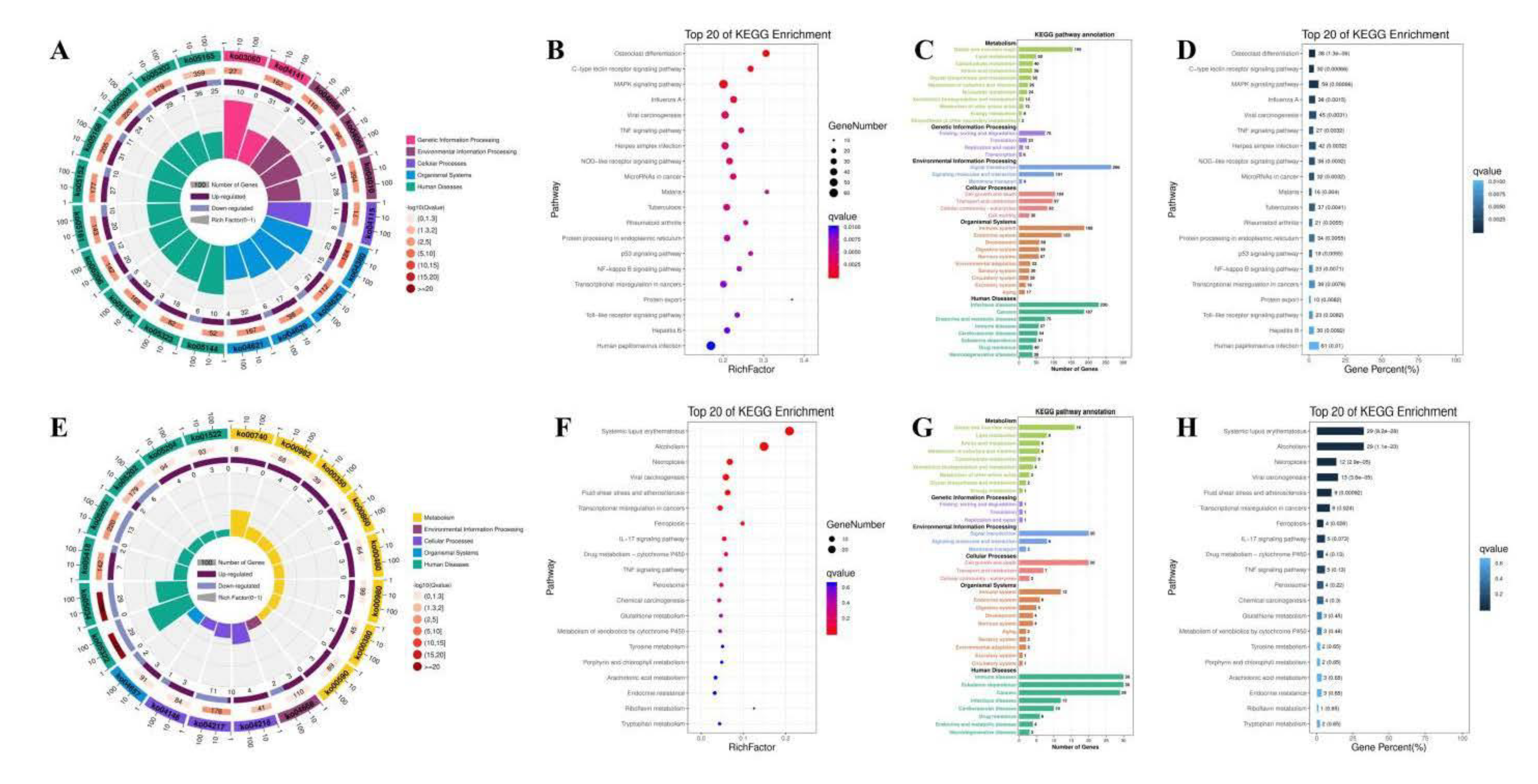 Antioxidants 10 01689 g011 Antioxidants 10 01689 g011