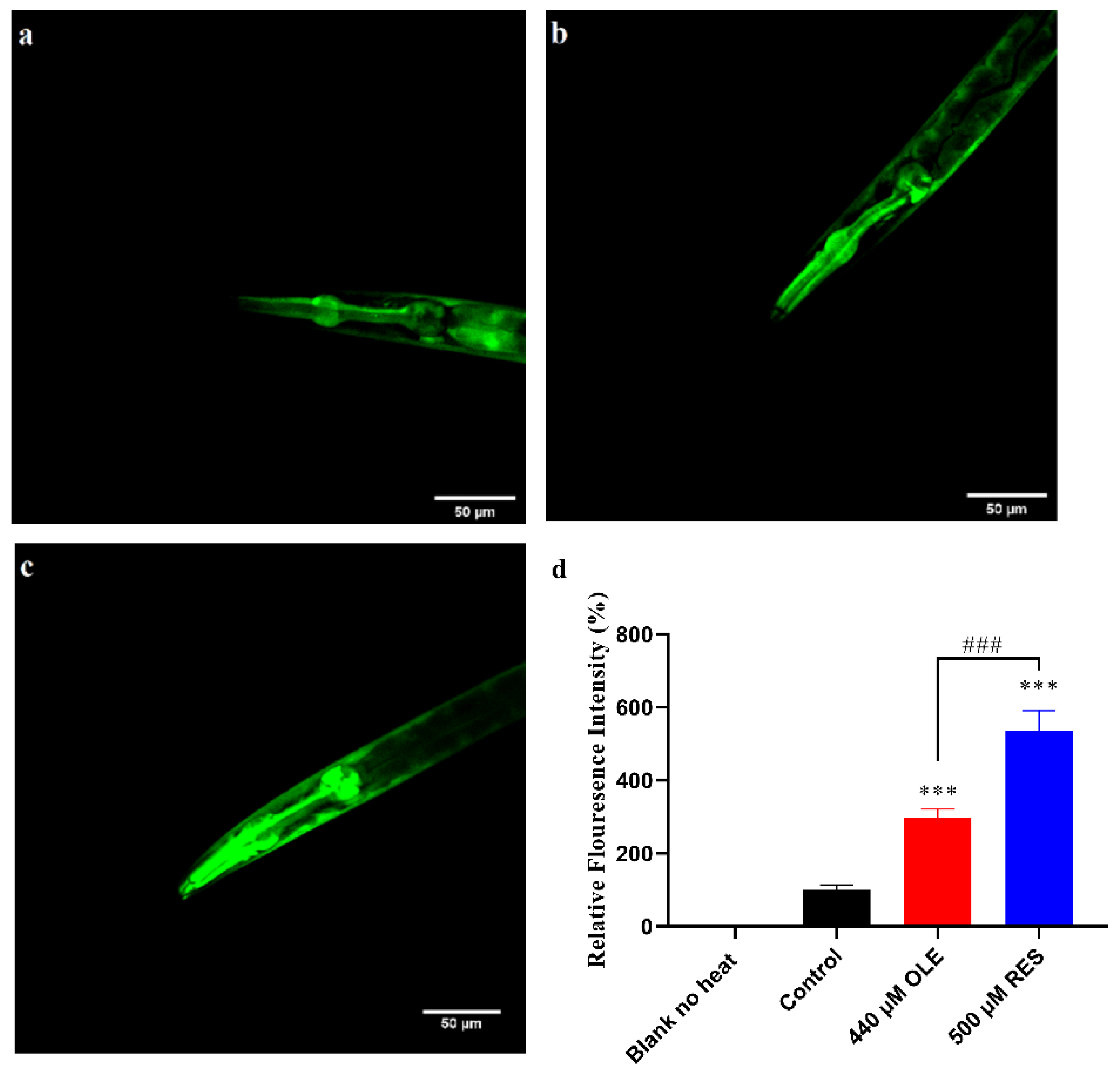 Antioxidants 10 01697 g007