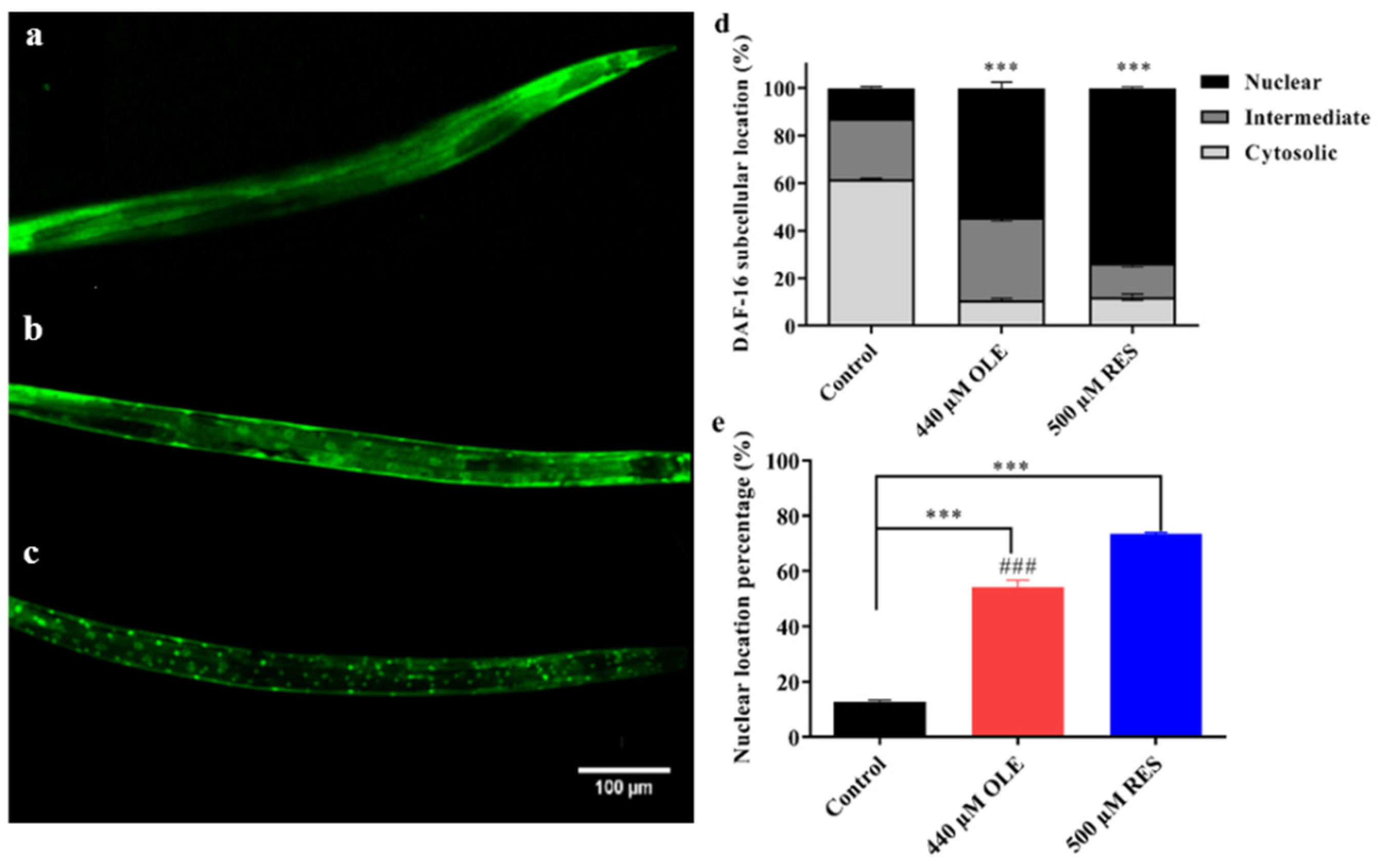 Antioxidants 10 01697 g008