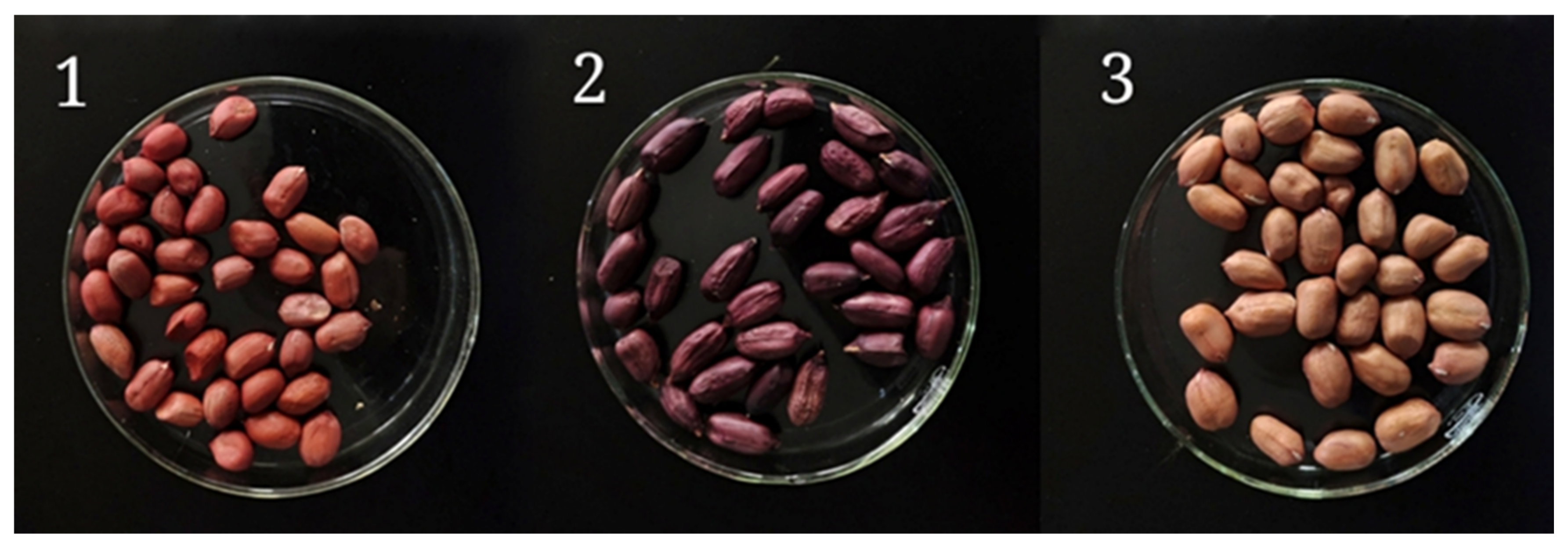 Antioxidants | Free Full-Text | Impact of Germination Time on