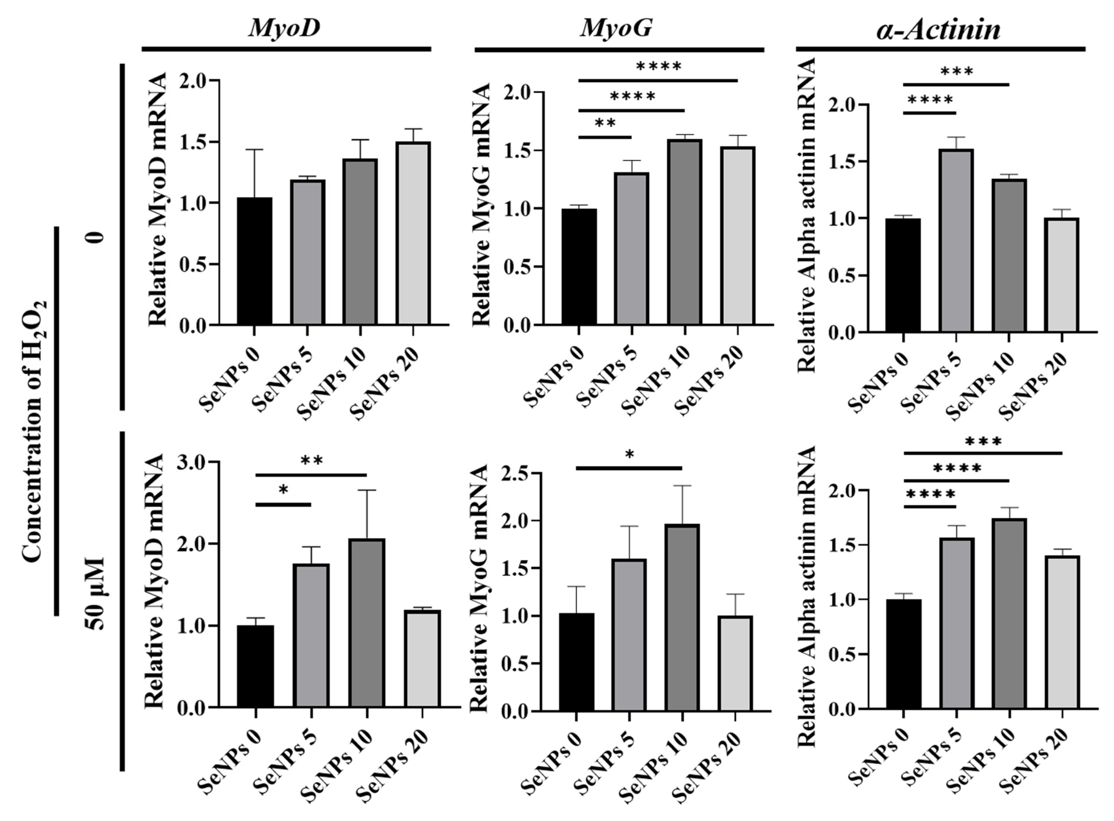 Antioxidants 10 01727 g005