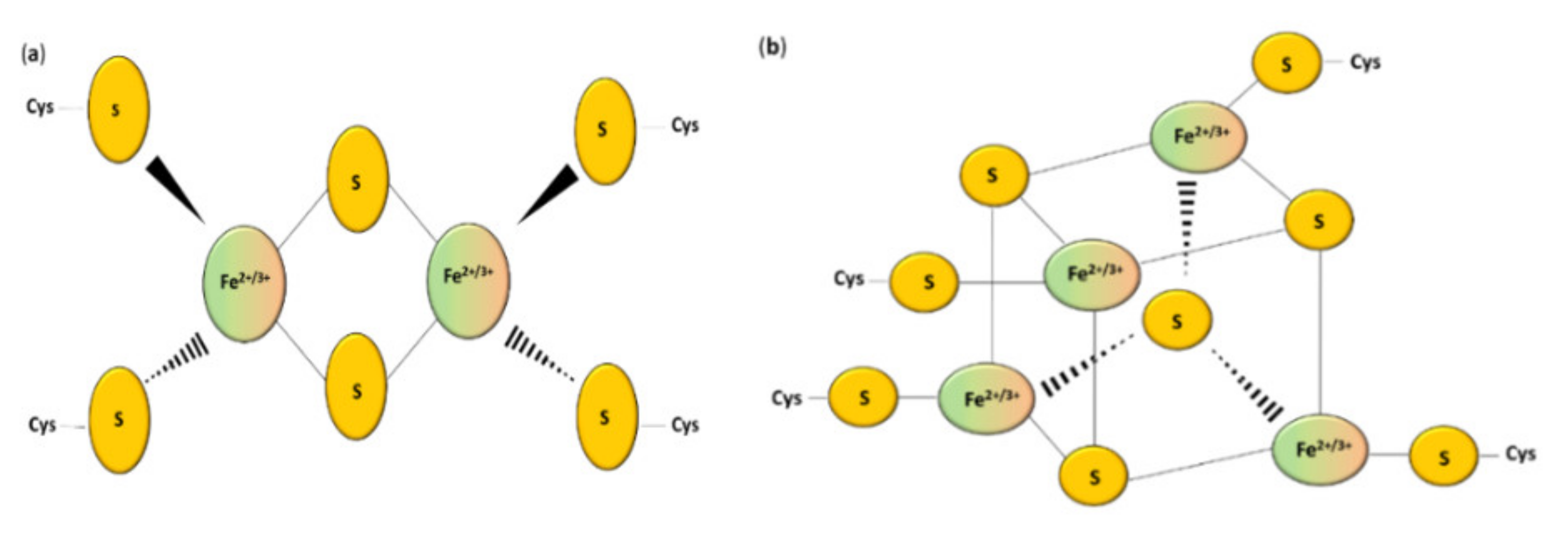 Antioxidants 10 01738 g001