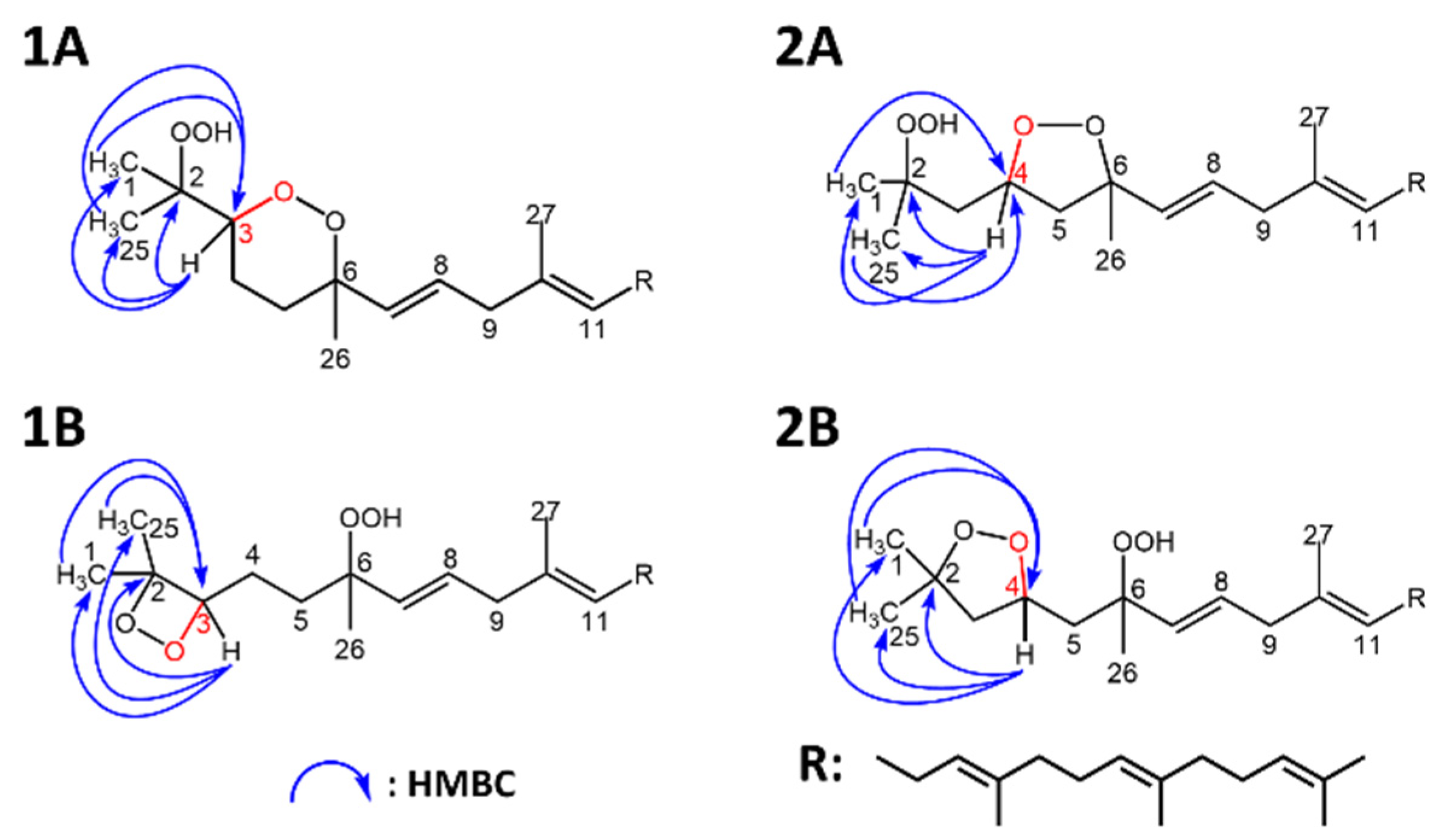 Antioxidants 10 01760 g004