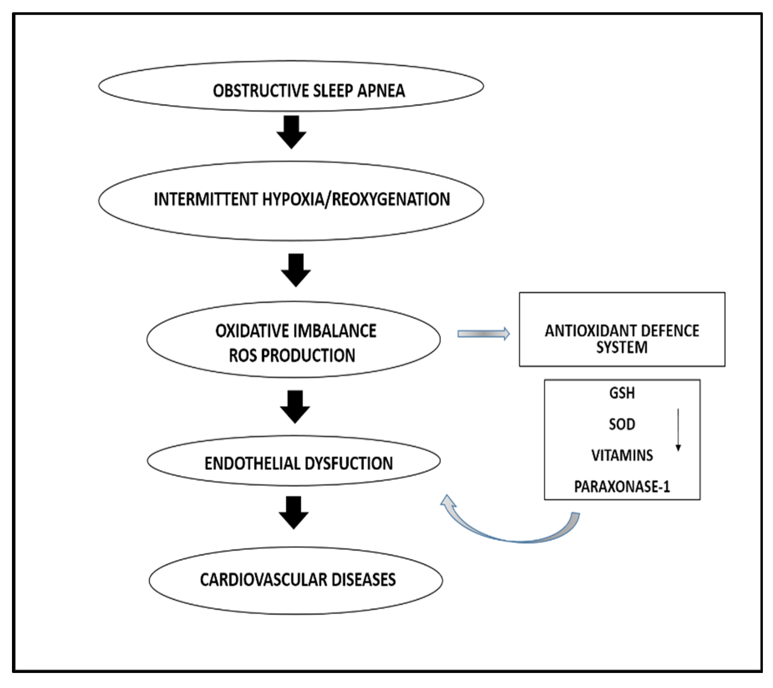 Antioxidants 10 01764 g001 Antioxidants 10 01764 g001
