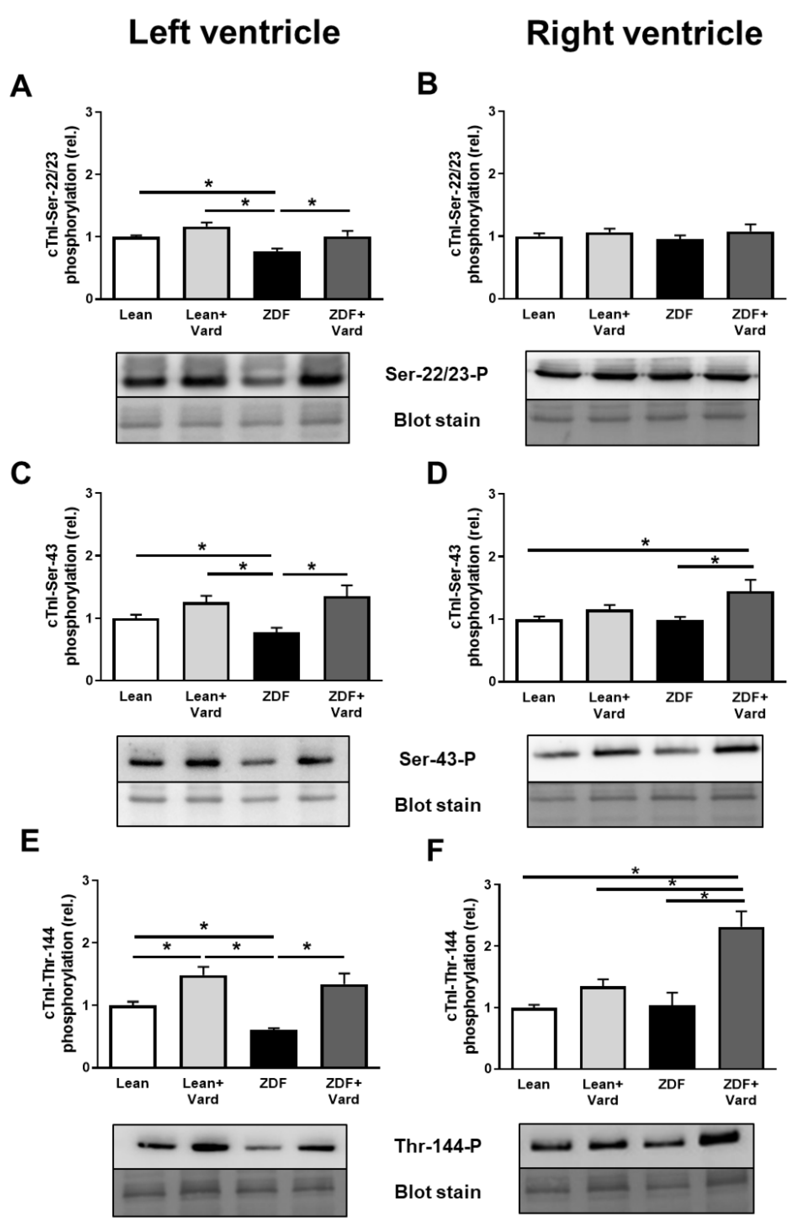 Antioxidants Free Full Text Long Term Pde 5a Inhibition Improves Myofilament Function In Left And Right Ventricular Cardiomyocytes Through Partially Different Mechanisms In Diabetic Rat Hearts Html