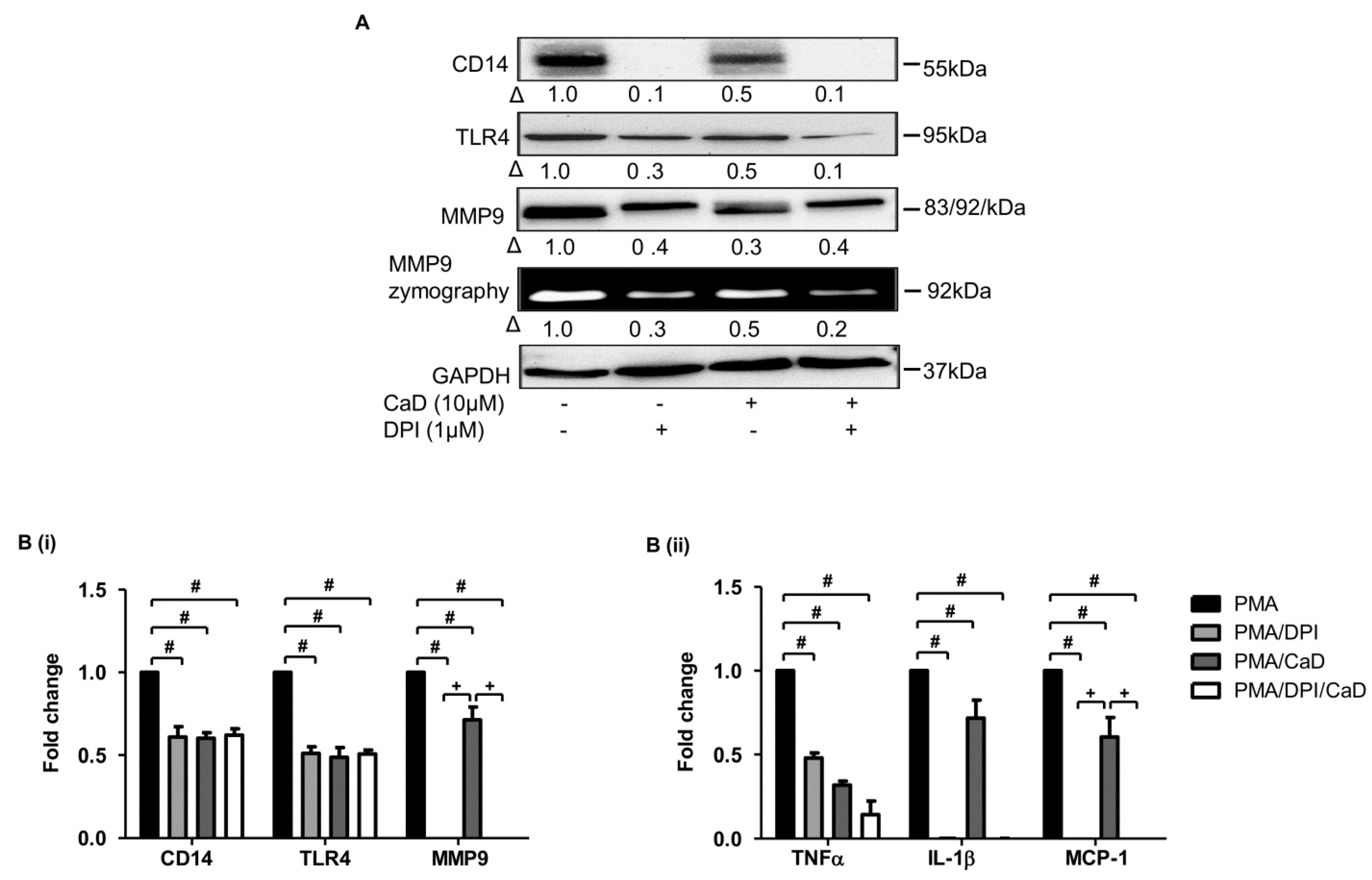 Antioxidants 10 01798 g010