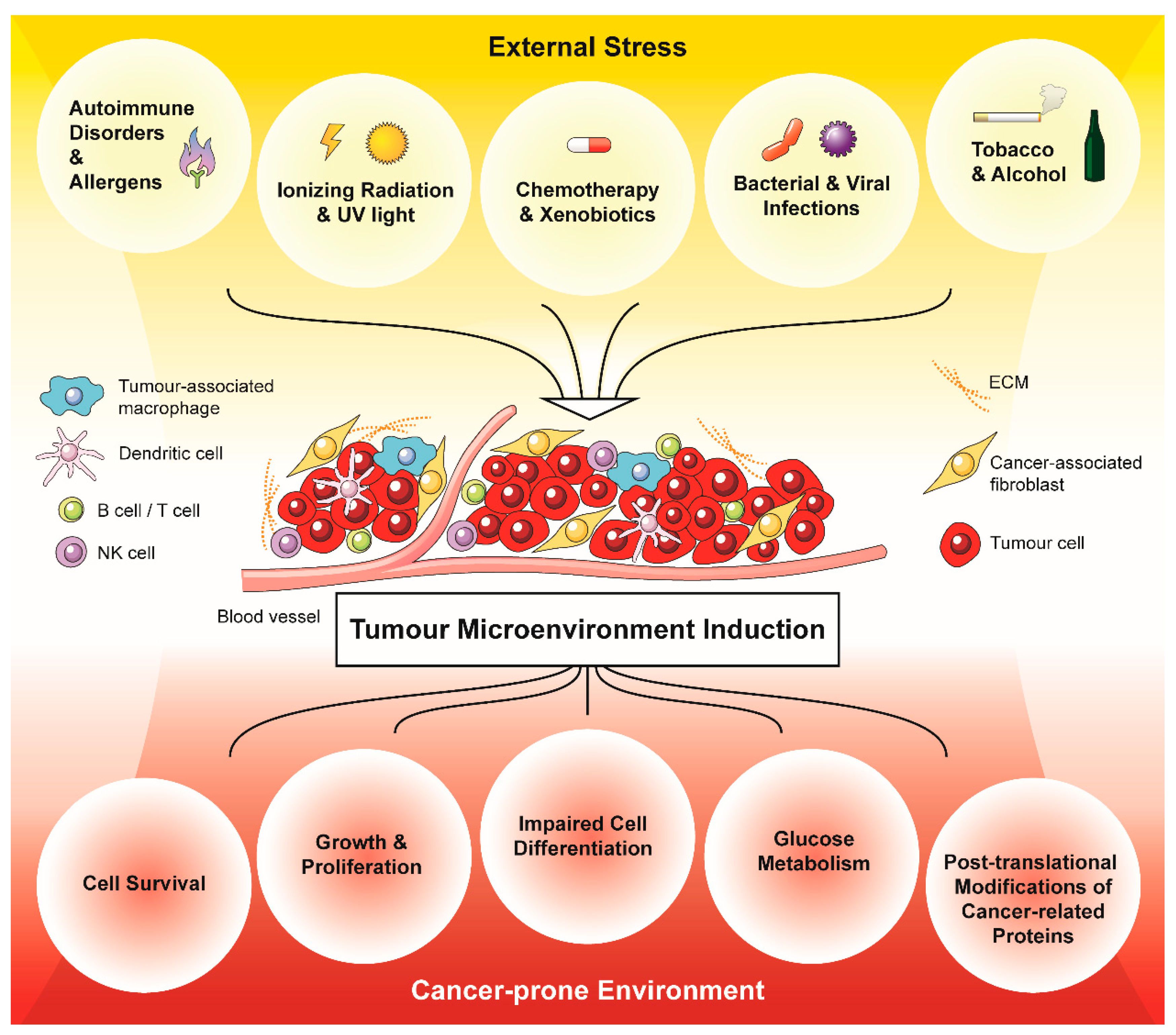 Antioxidants | Free Full-Text | Tumour Microenvironment Stress Promotes the  Development of Drug Resistance | HTML