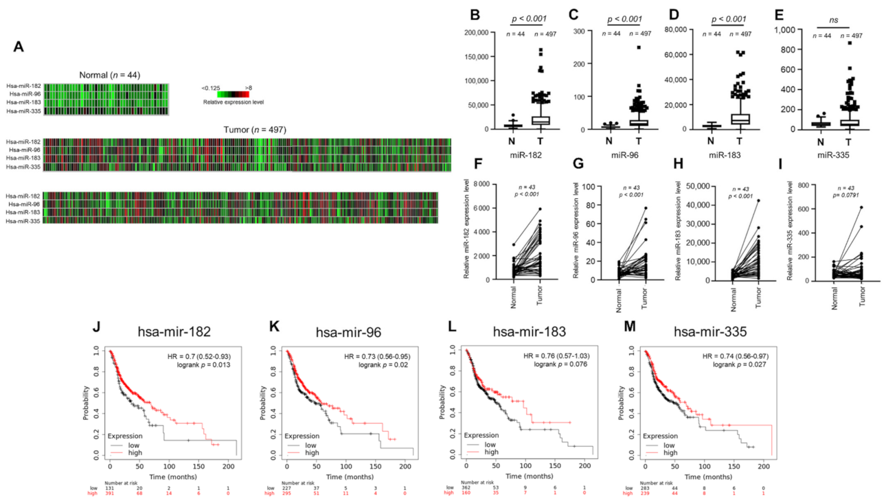 Antioxidants 10 01808 g001