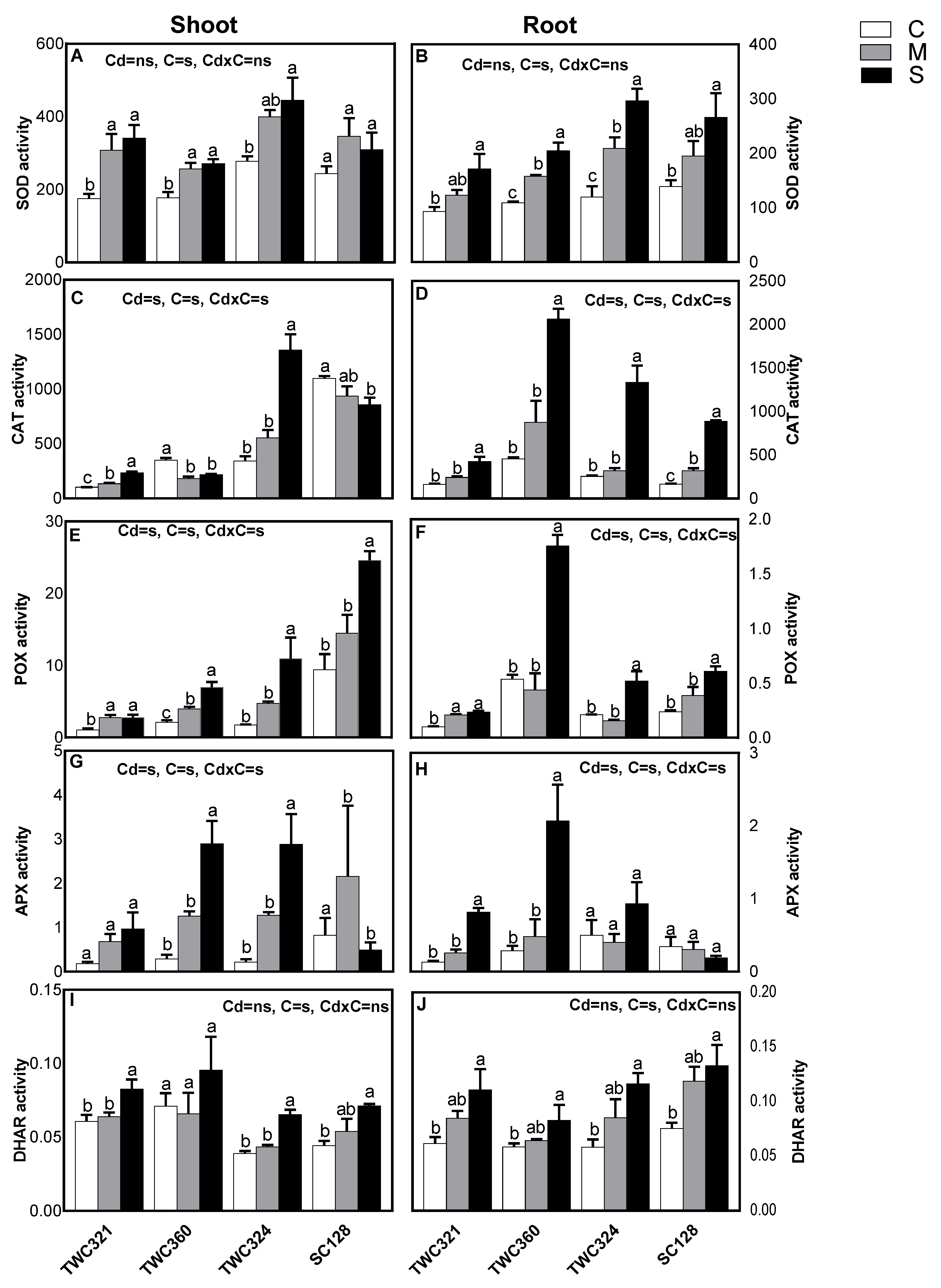 Antioxidants 10 01812 g004