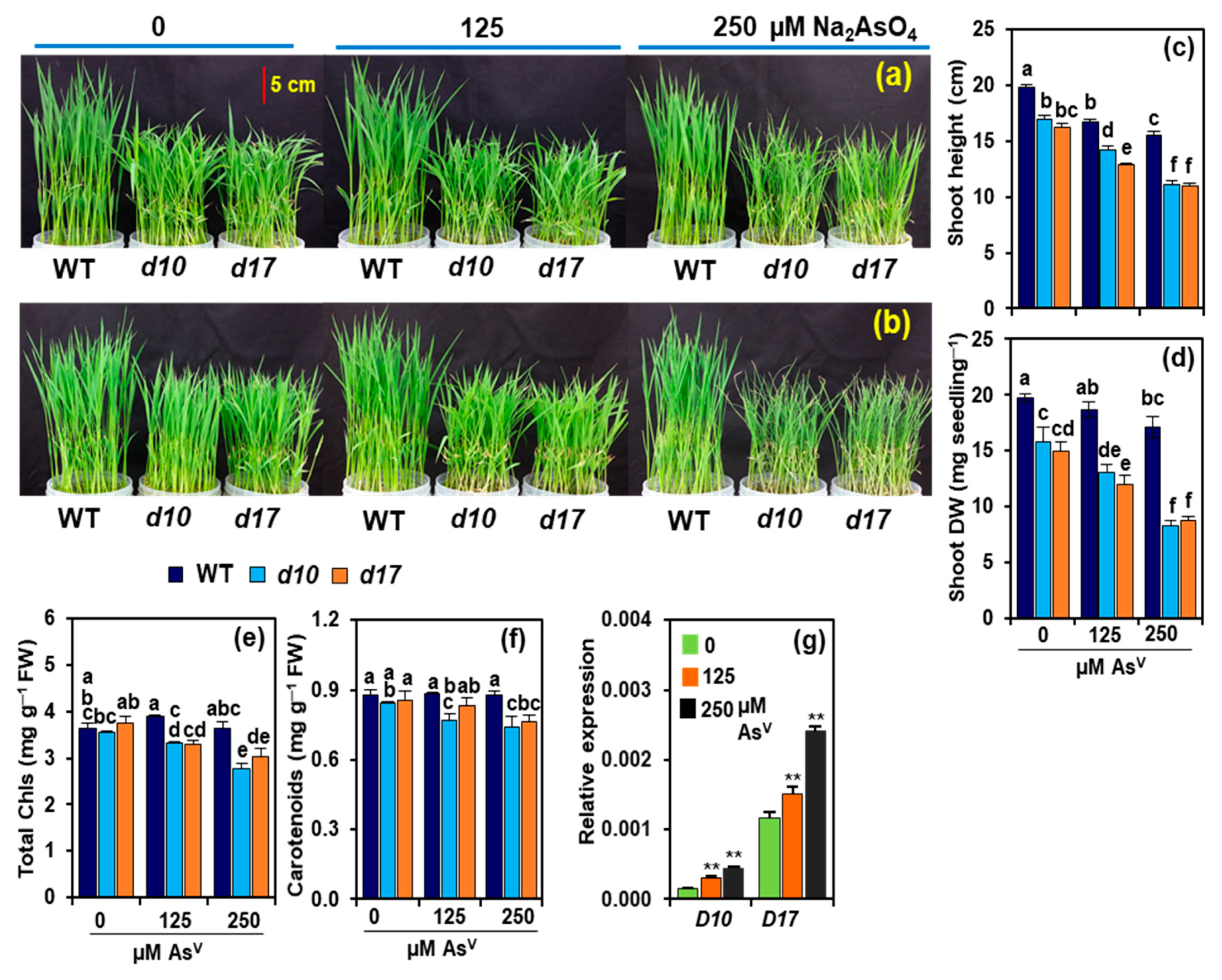 Antioxidants 10 01815 g002