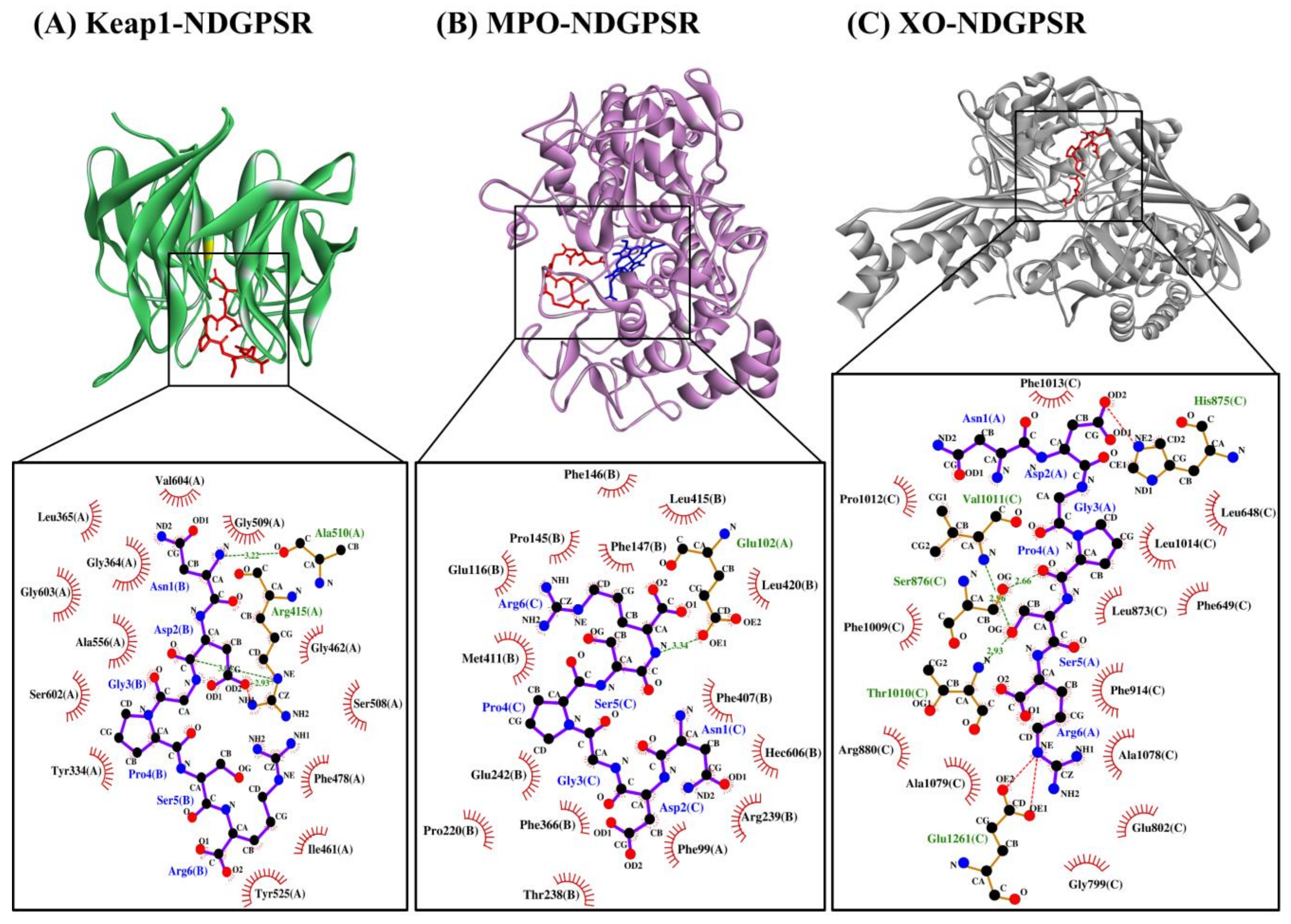 Antioxidants 10 01822 g004