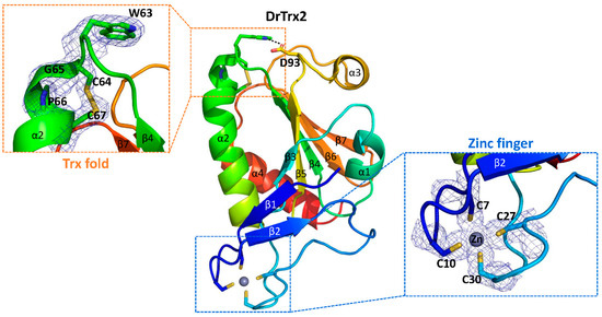 4C2U: Crystal Structure Of Deinococcus Radiodurans Uvrd In Complex
