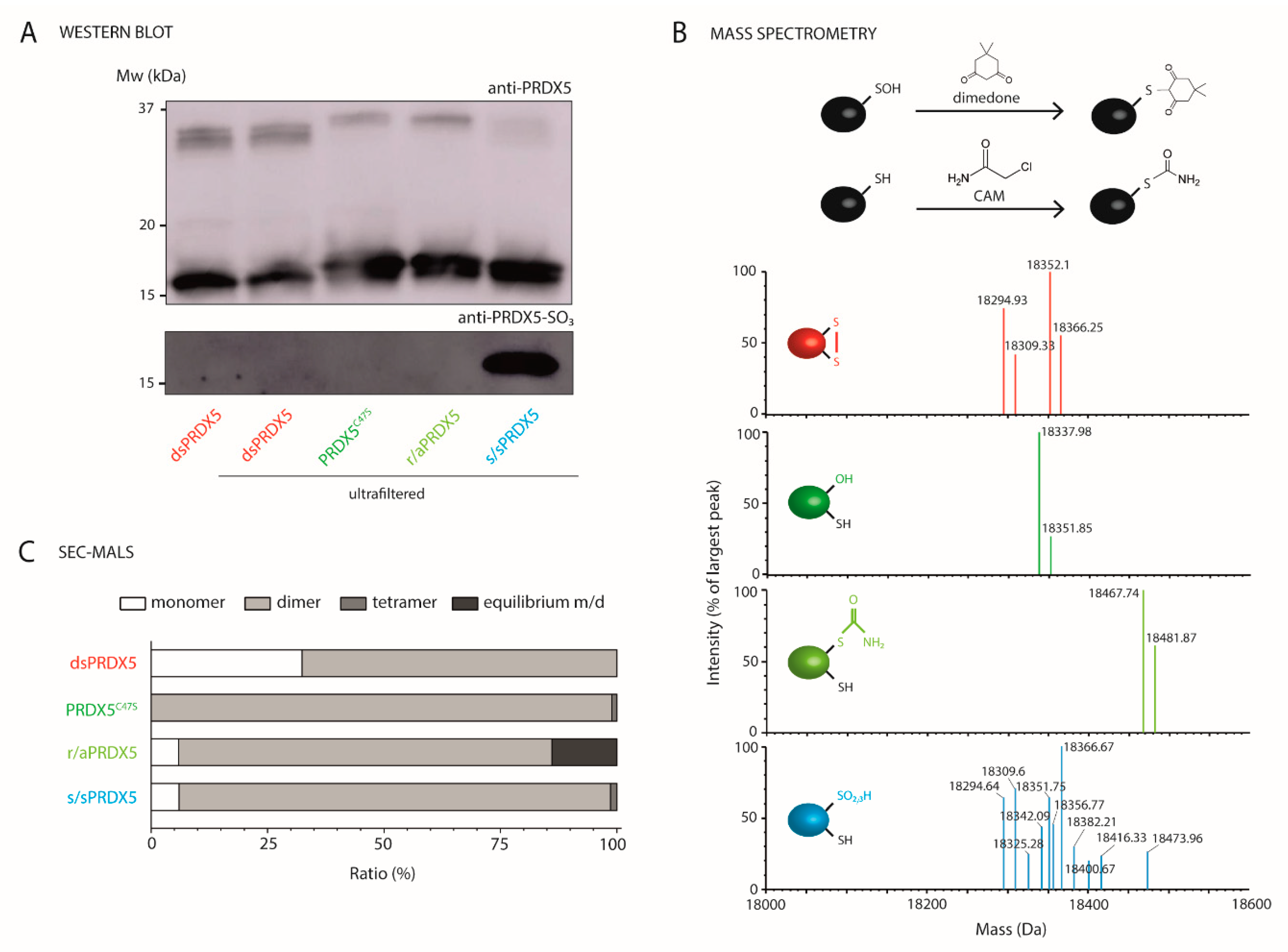 Antioxidants 10 01902 g002
