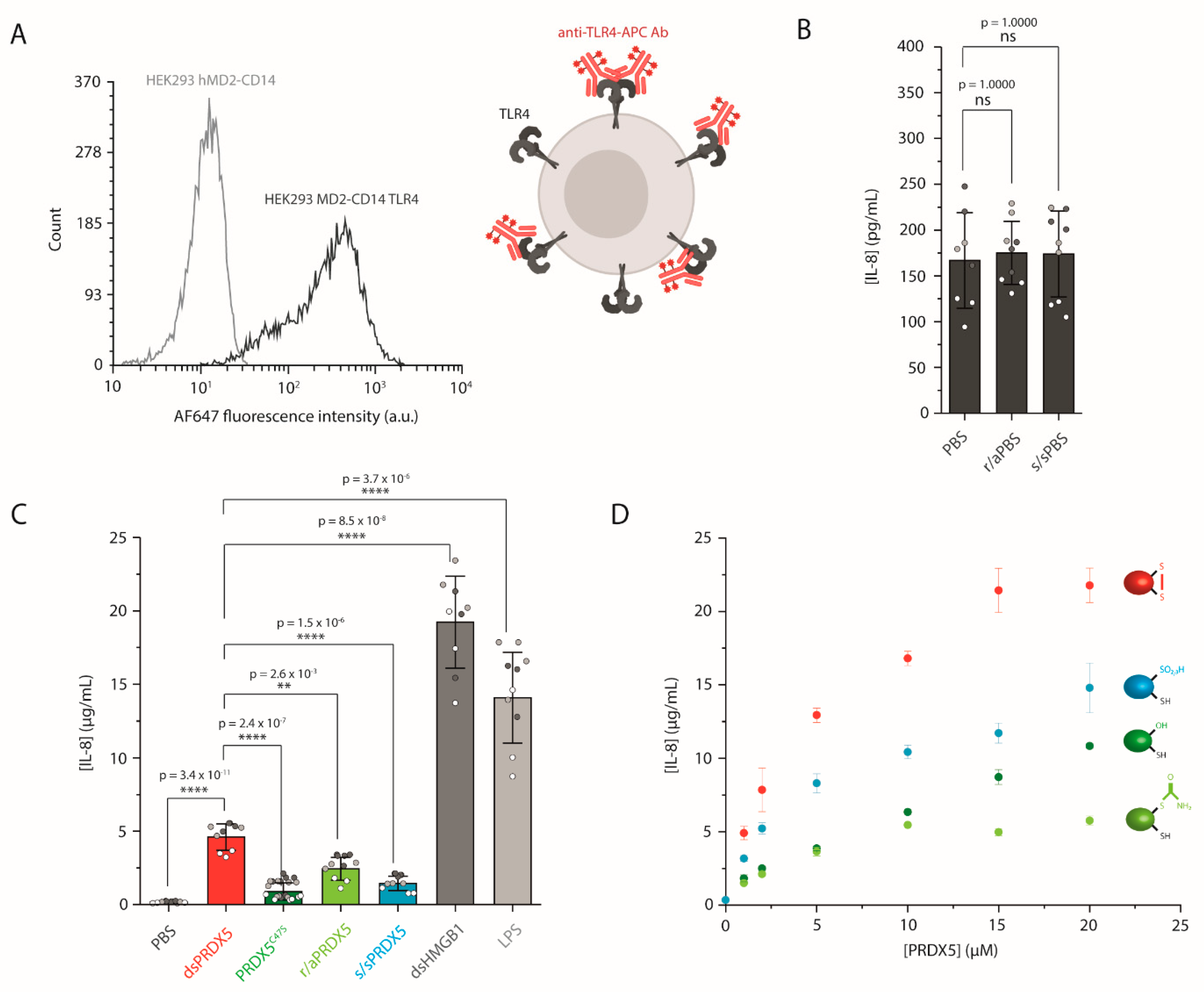 Antioxidants 10 01902 g003