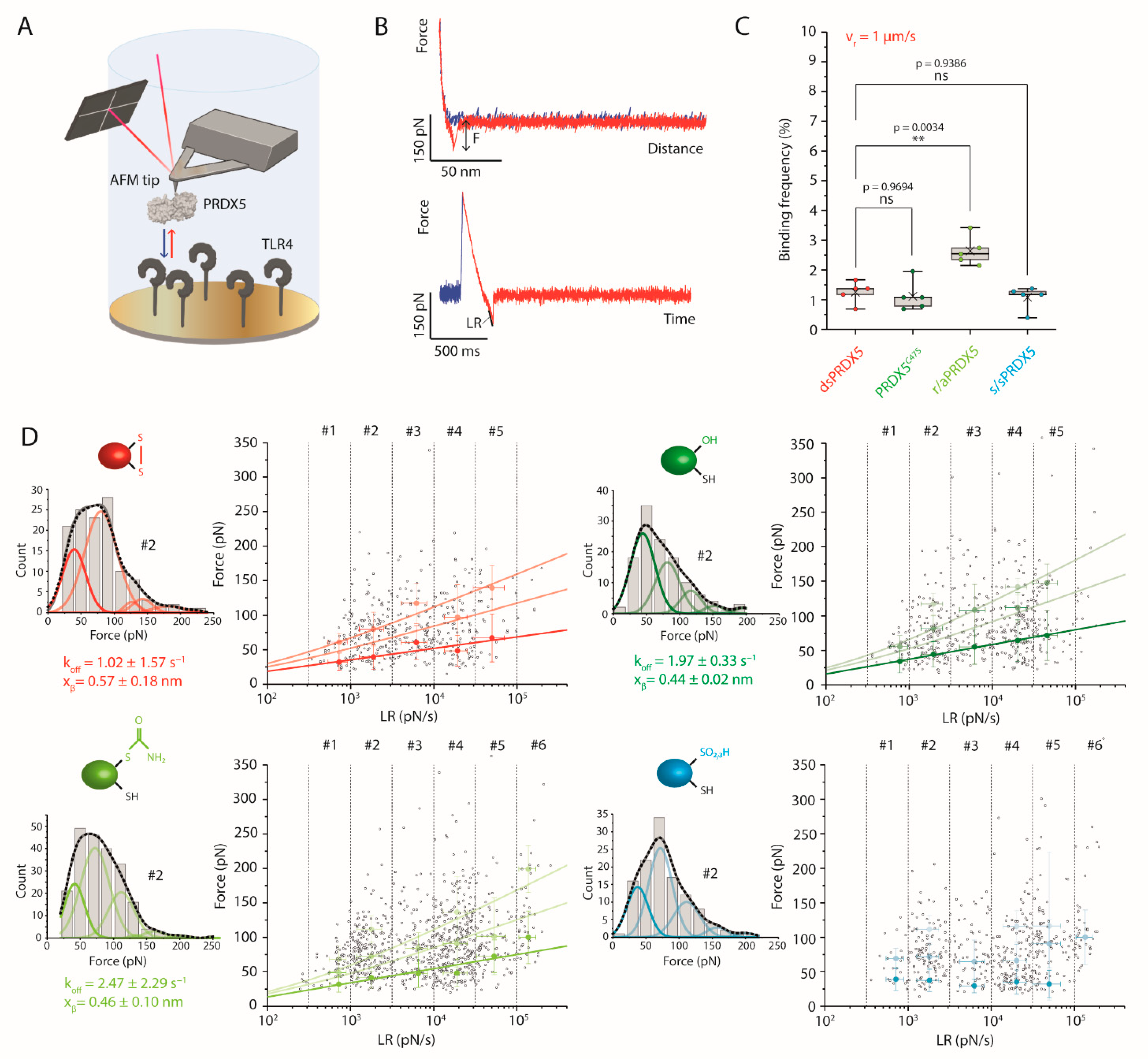 Antioxidants 10 01902 g004