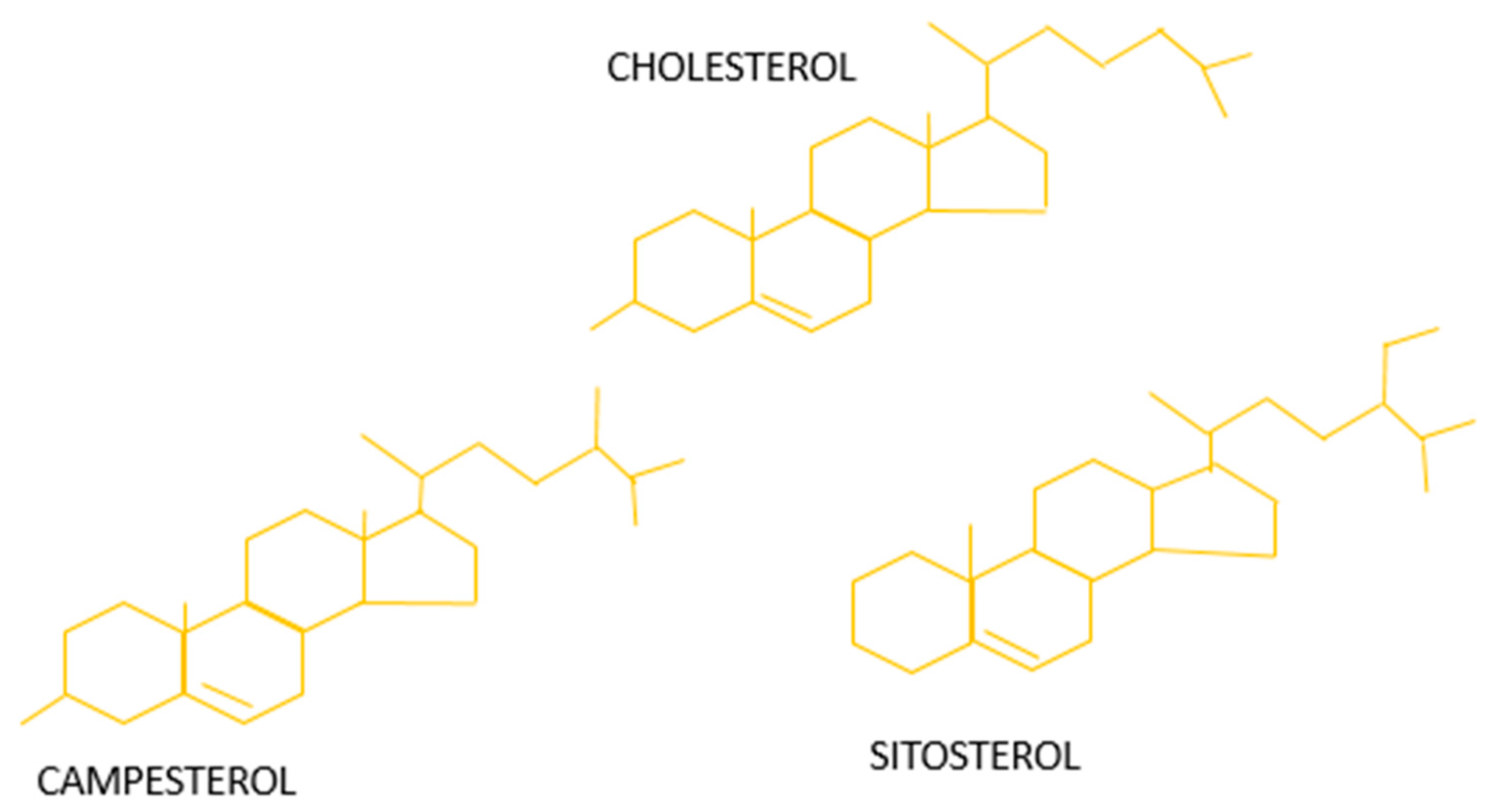 Antioxidants 10 01903 g002