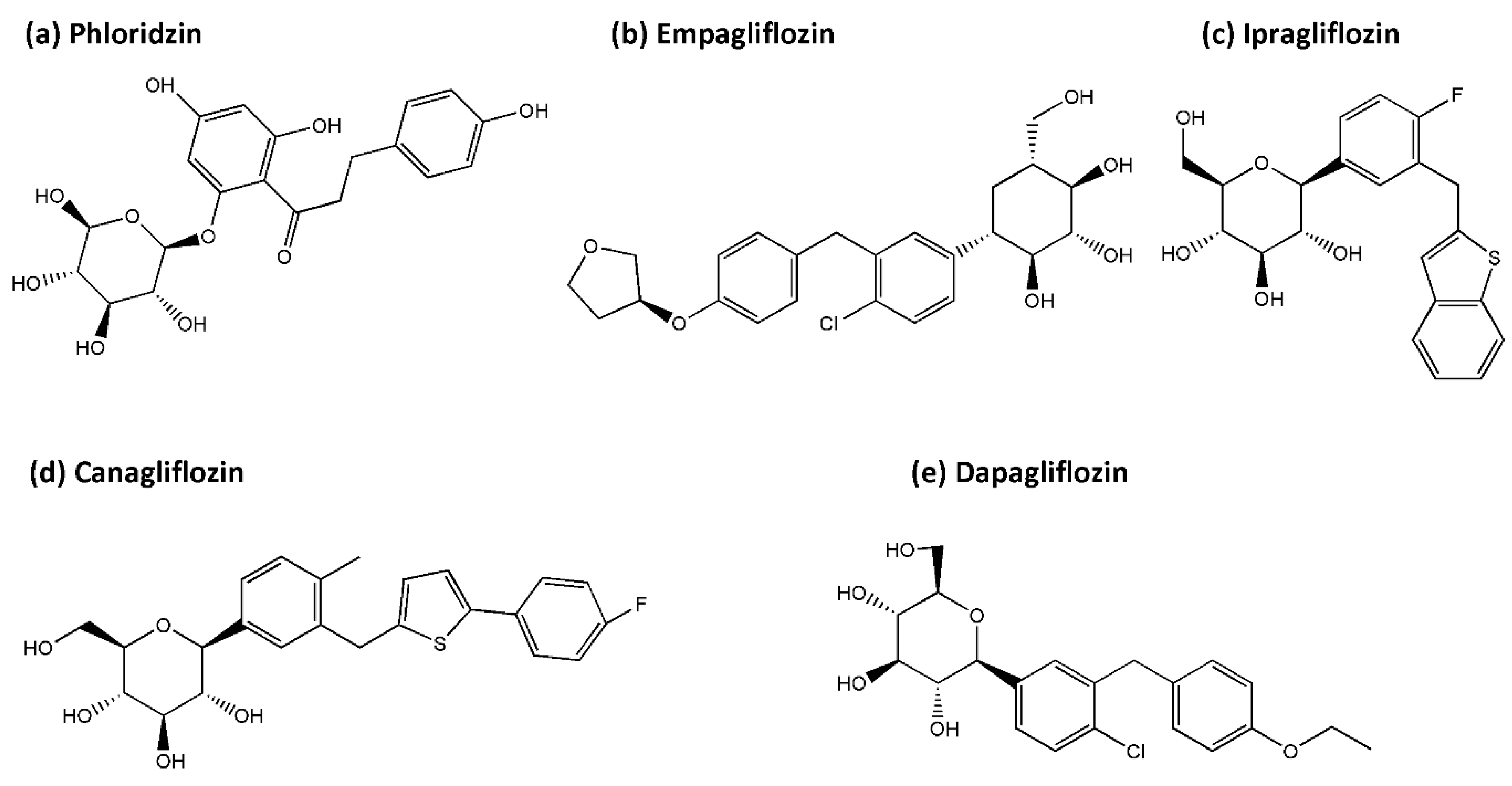 Antioxidants 10 01935 g004 Antioxidants 10 01935 g004