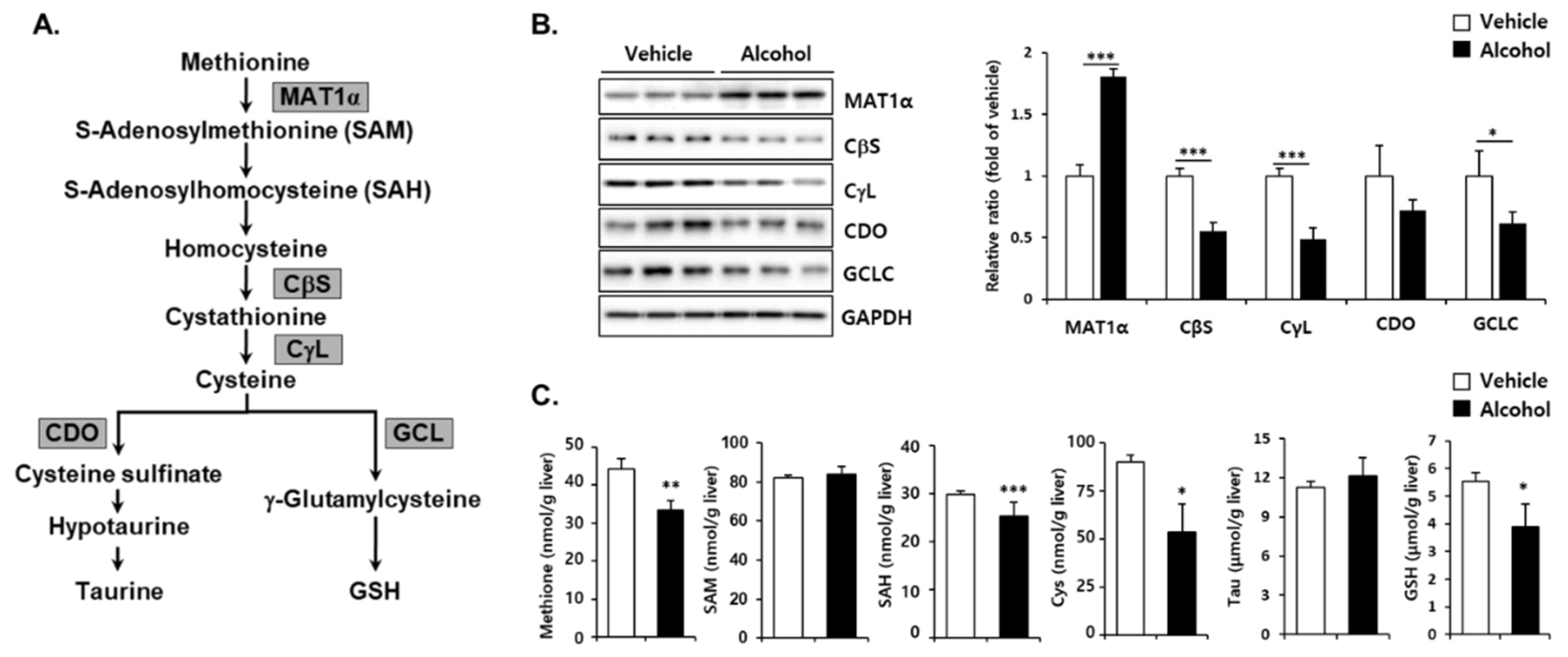 Antioxidants 10 01949 g003