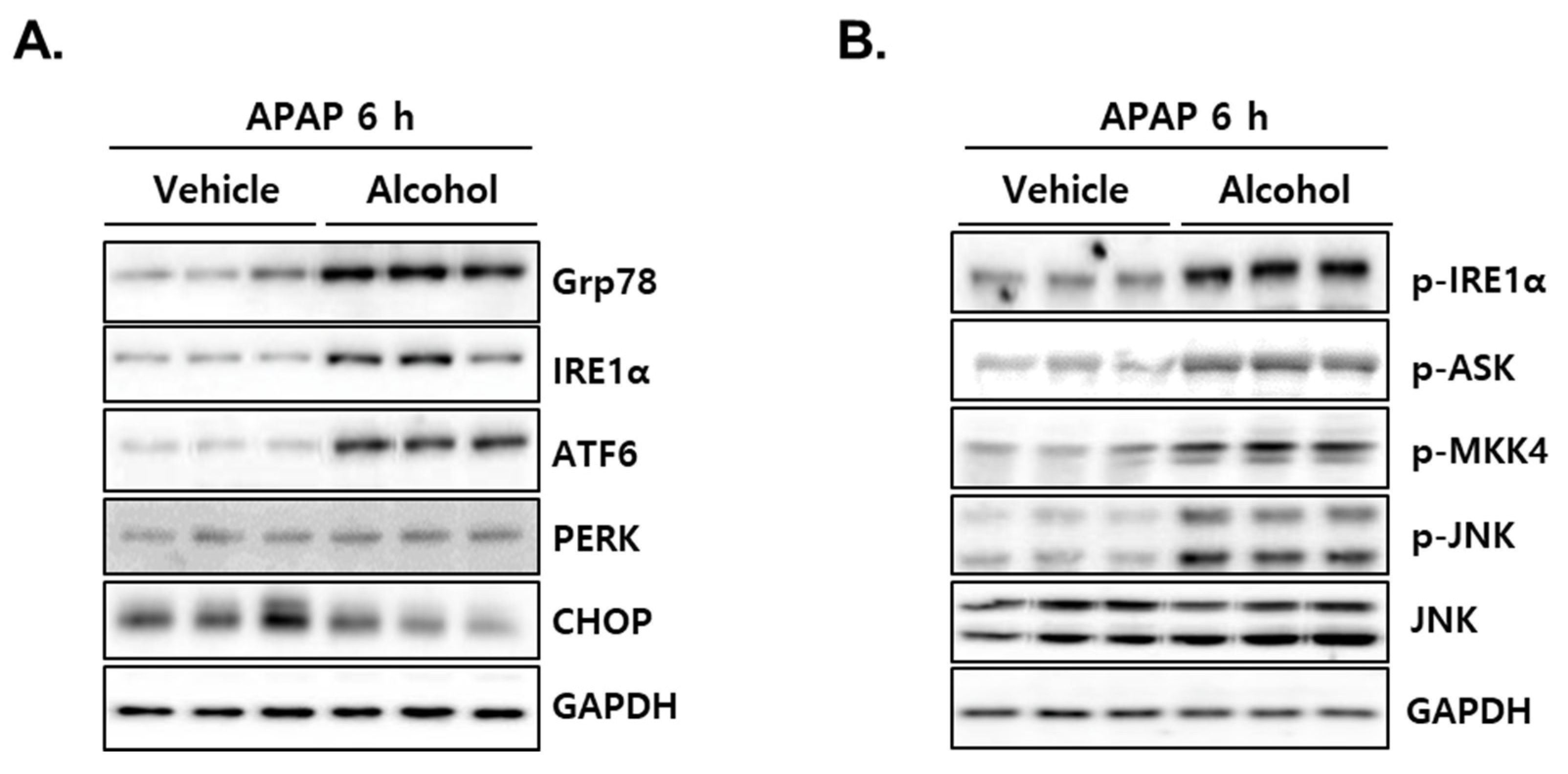 Antioxidants 10 01949 g007