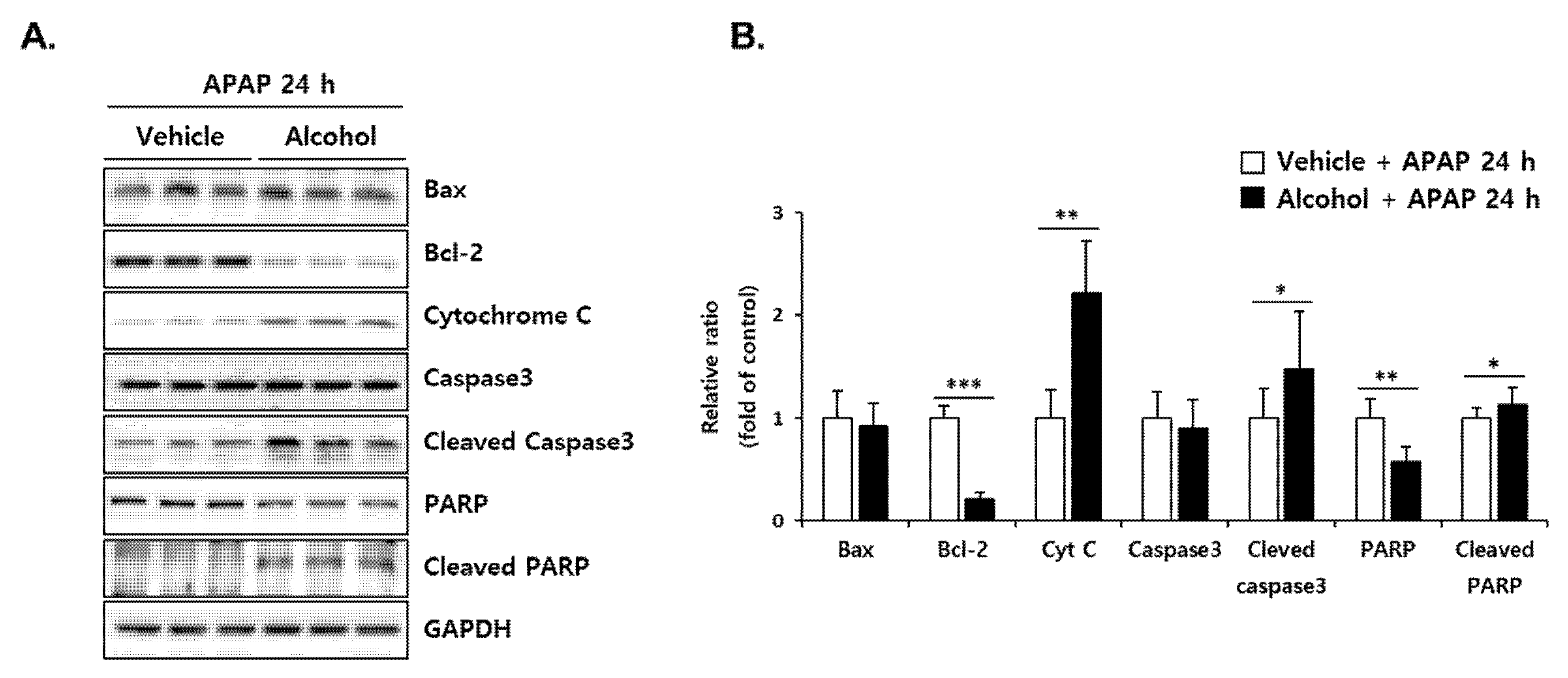 Antioxidants 10 01949 g008