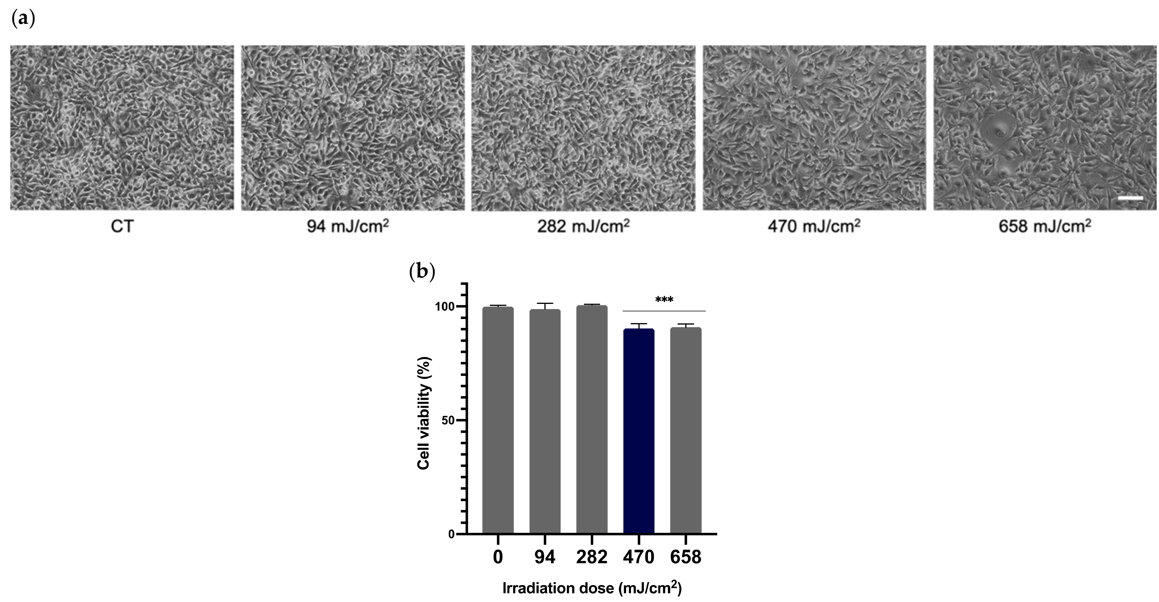 Antioxidants 10 01961 g002