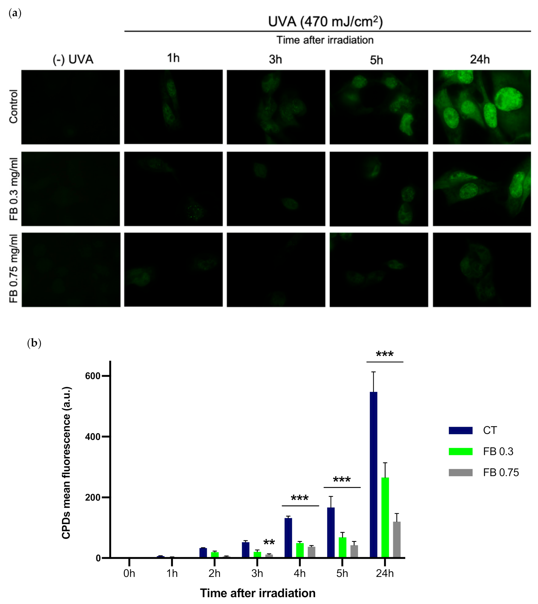 Antioxidants 10 01961 g004