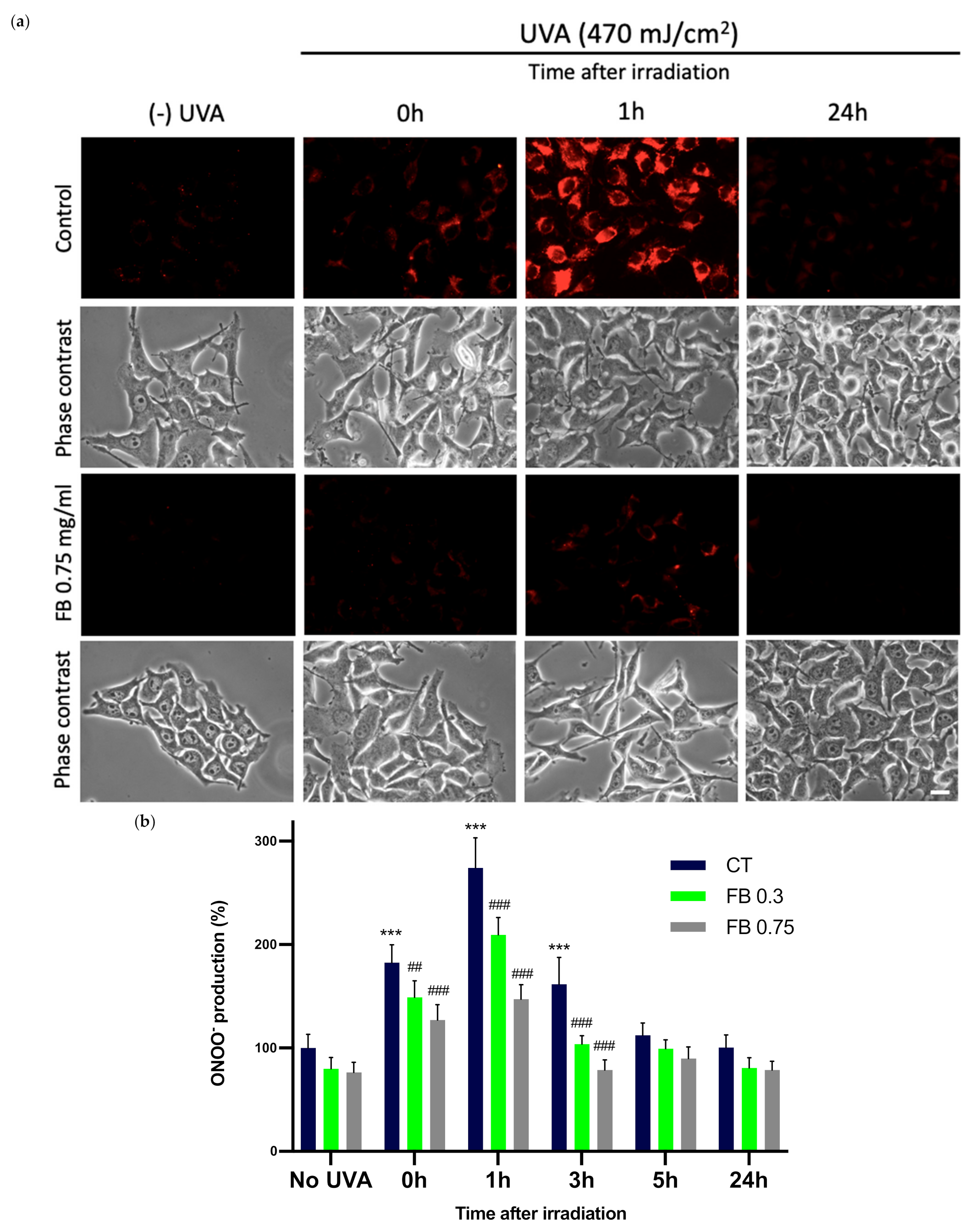 Antioxidants 10 01961 g007
