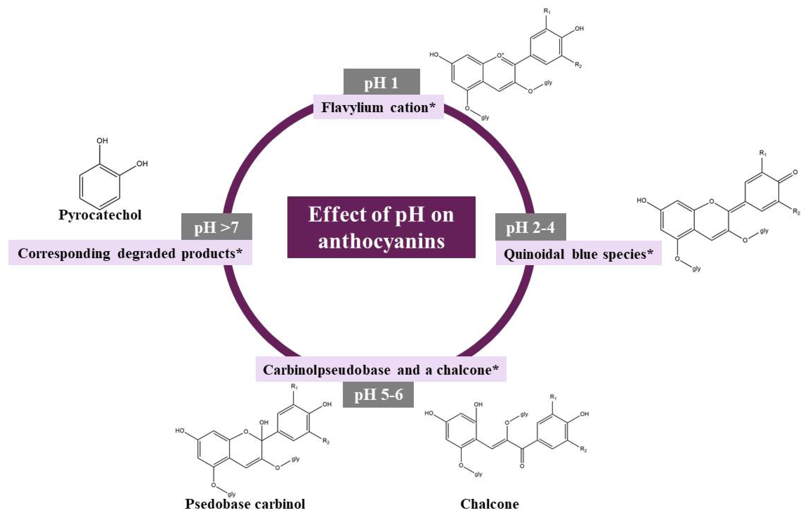 Antioxidants Free Full Text Anthocyanins Factors Affecting Their Stability And Degradation