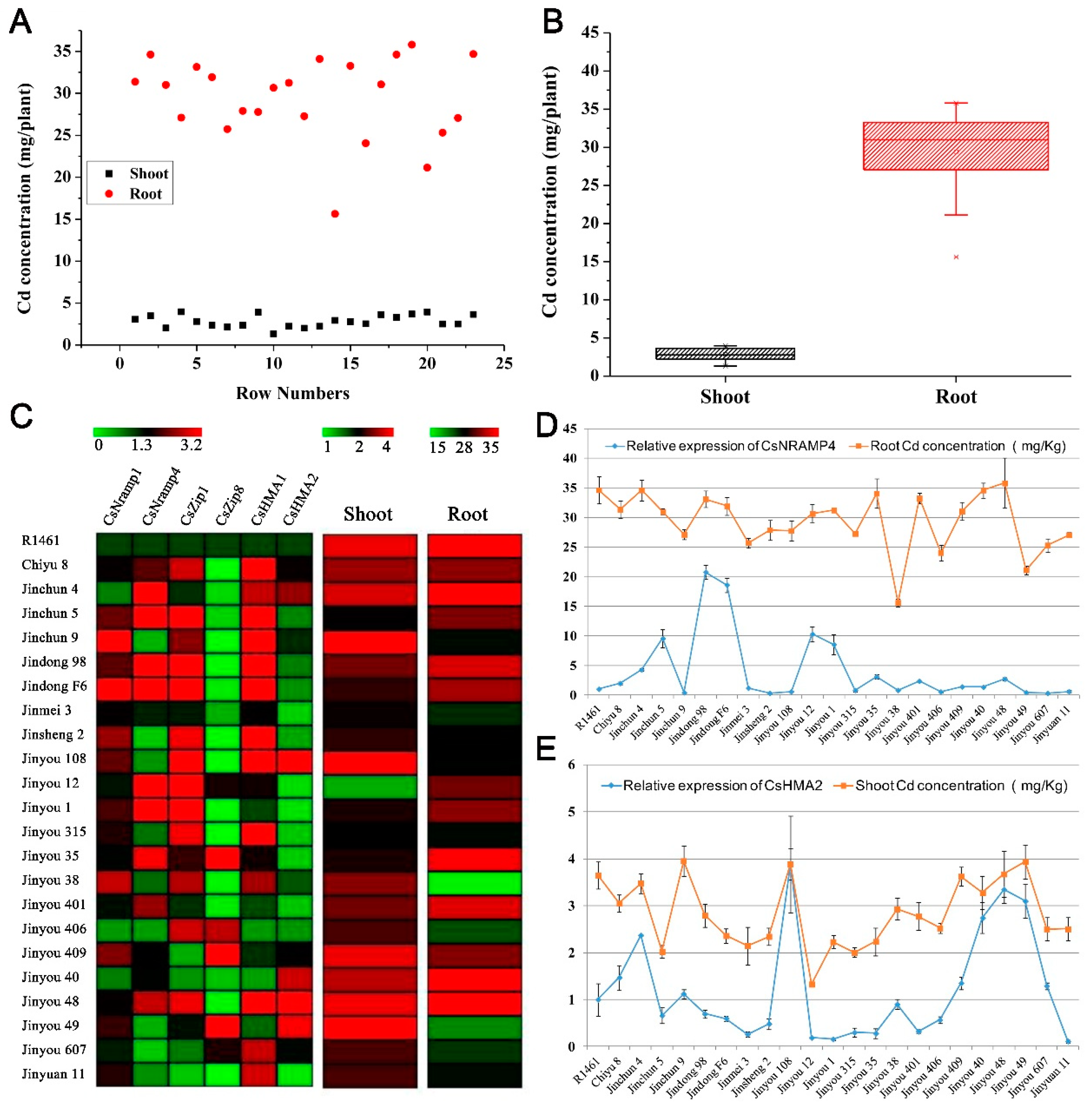 Antioxidants 10 01973 g004