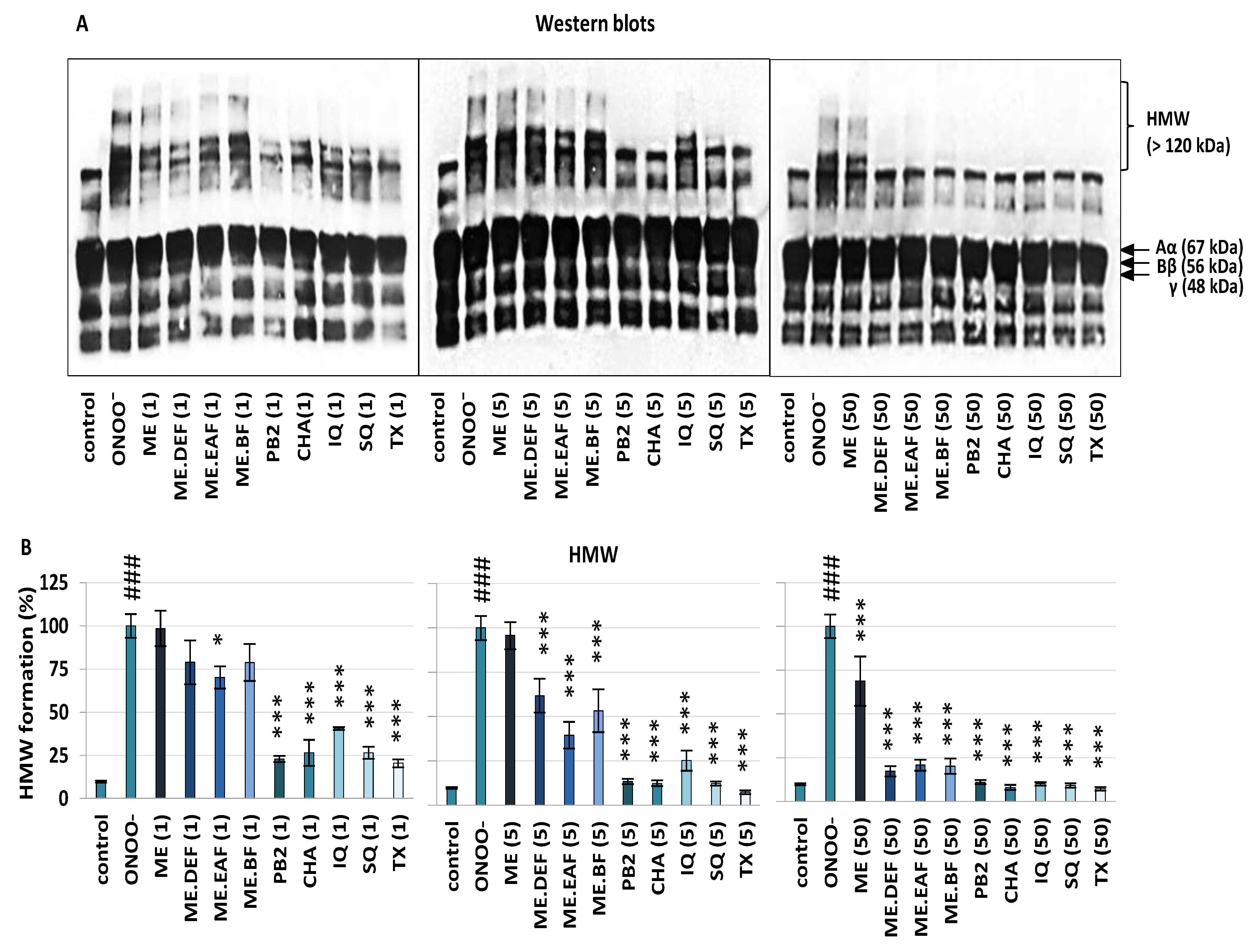 Antioxidants 10 02009 g002