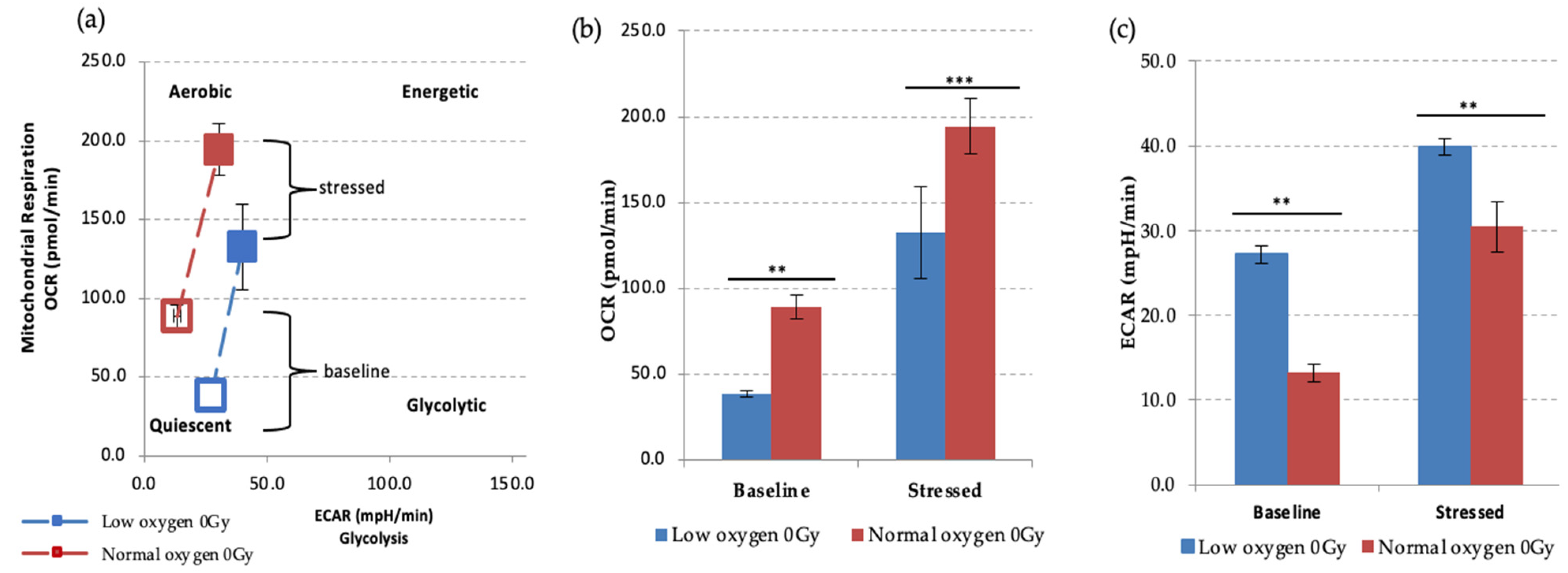 Antioxidants 11 00011 g004