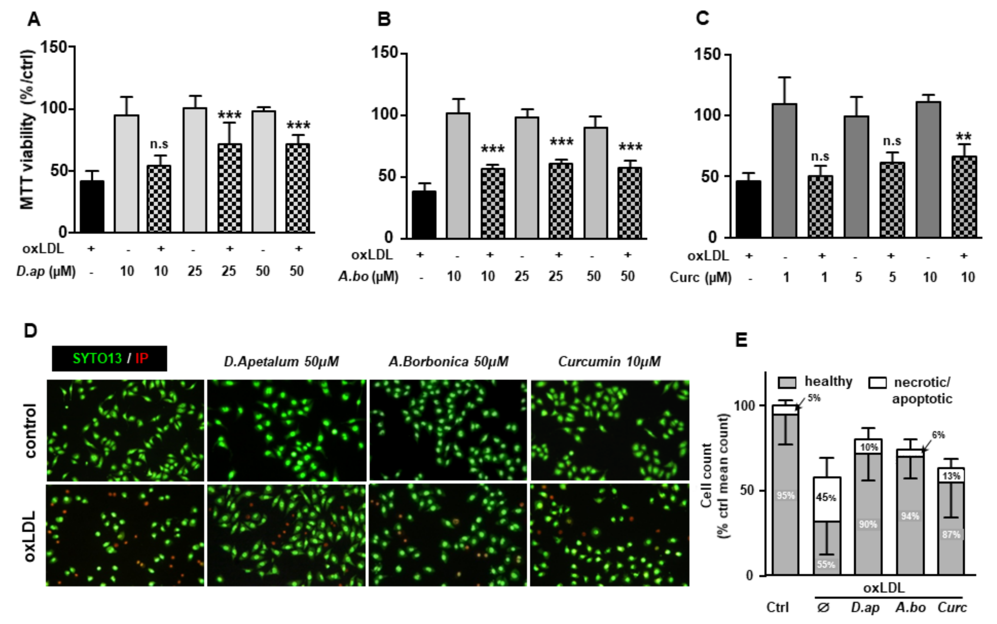 Antioxidants 11 00034 g003