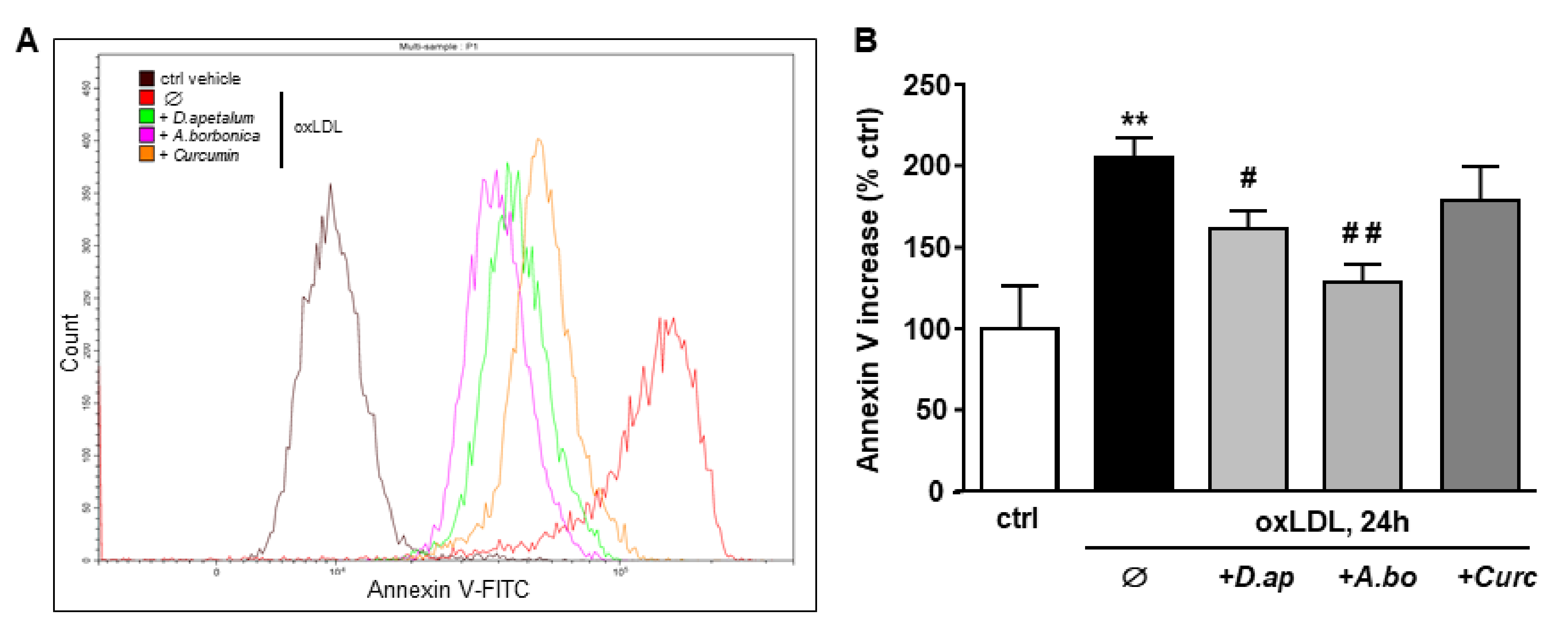 Antioxidants 11 00034 g004