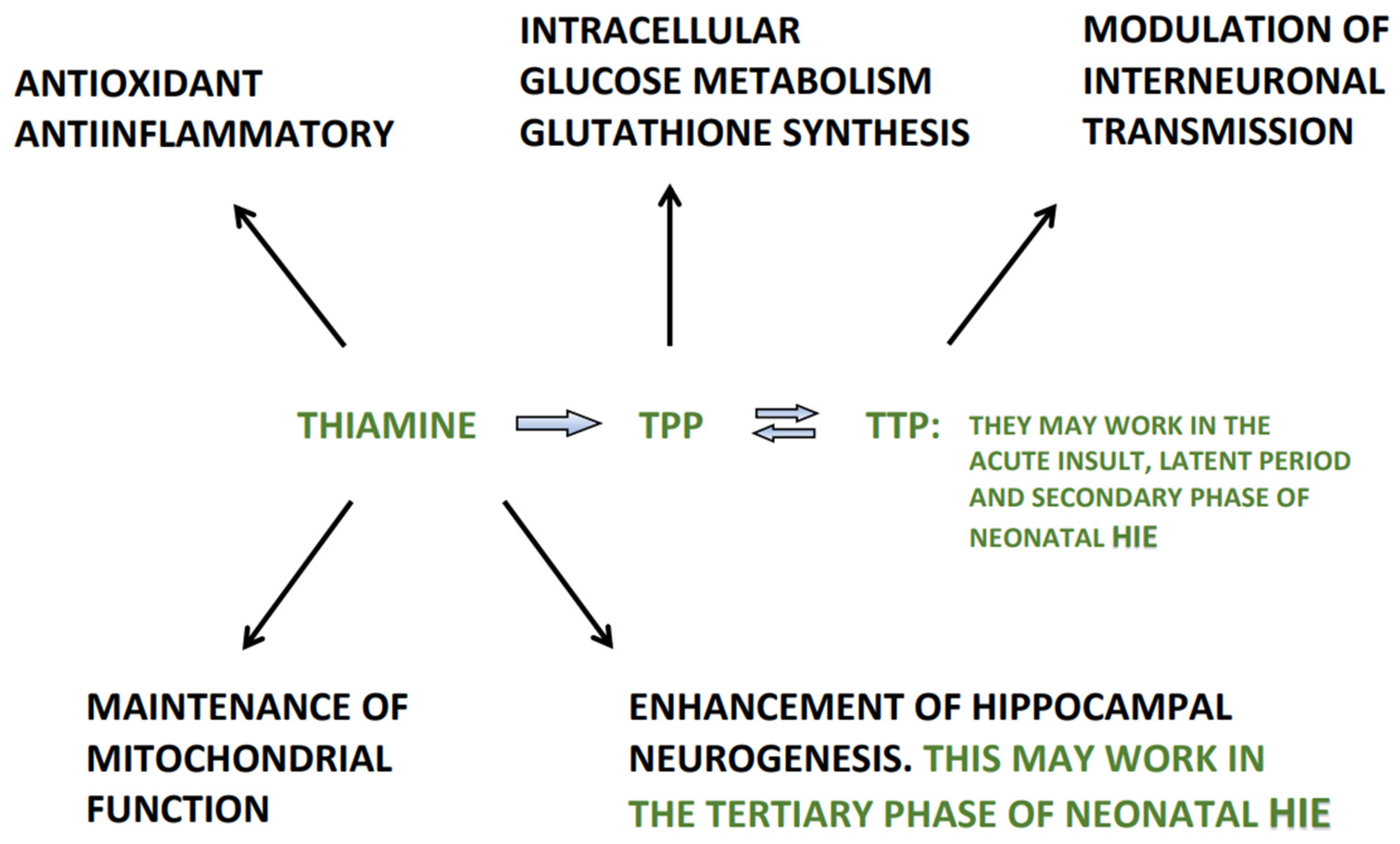 Antioxidants 11 00042 g003