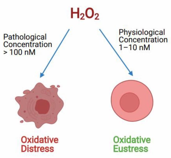 Antioxidants, Free Full-Text