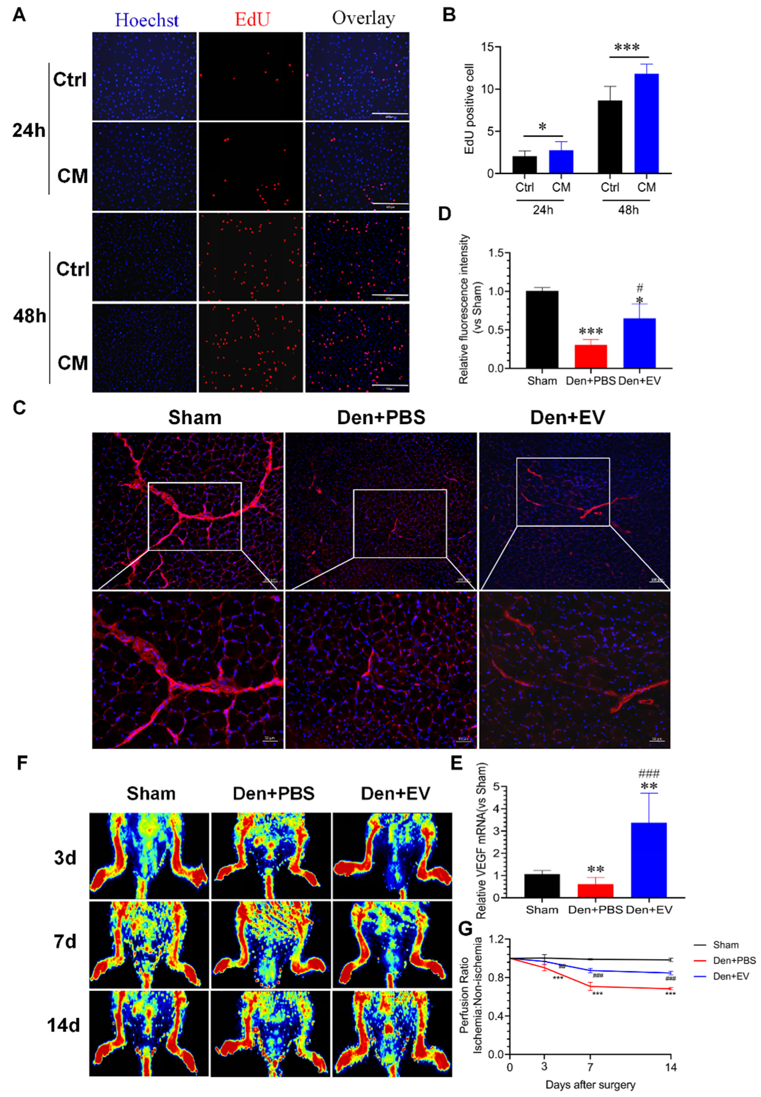 Antioxidants 11 00066 g011