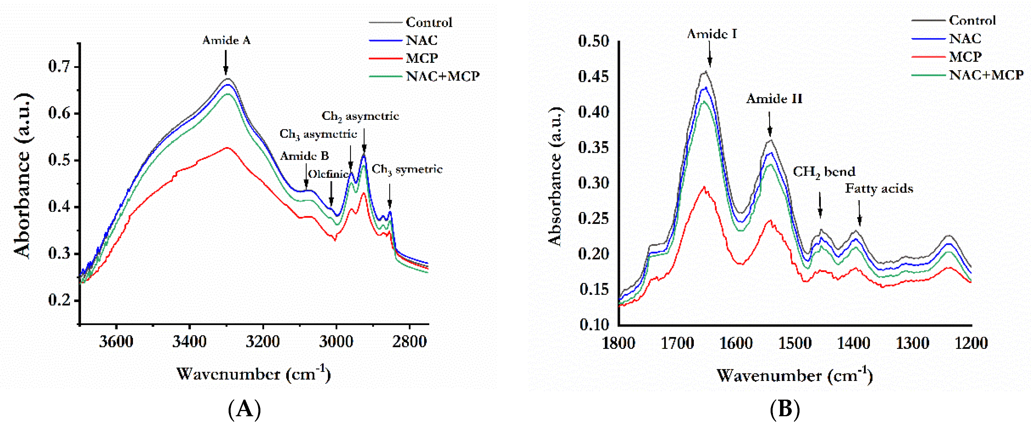 Antioxidants 11 00090 g003