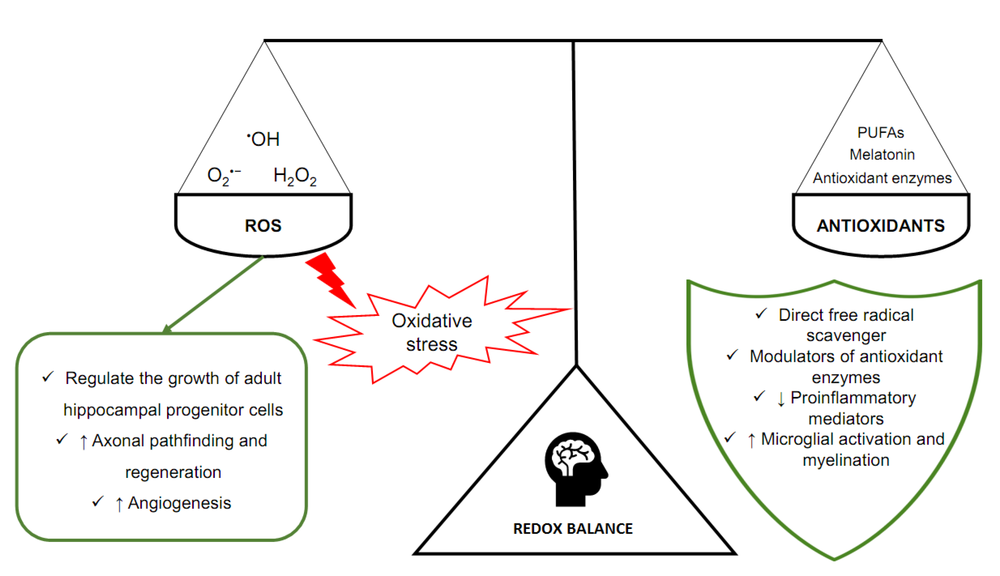 Antioxidants | Free Full-Text | Physical Activity vs. Redox Balance in the  Brain: Brain Health, Aging and Diseases